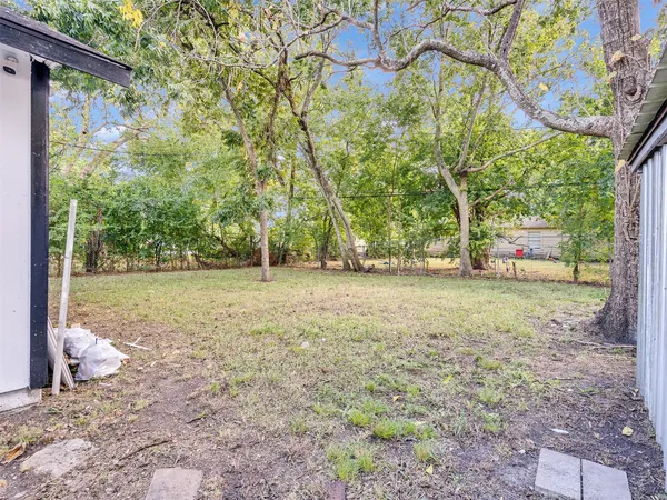 a view of backyard with tree