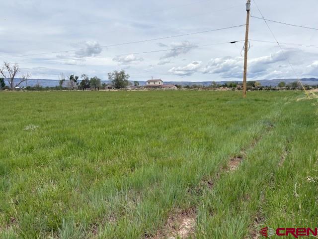 15736 2600th Road Cedaredge, CO 81413 - Photo 30 of 43 Gallery Image 30