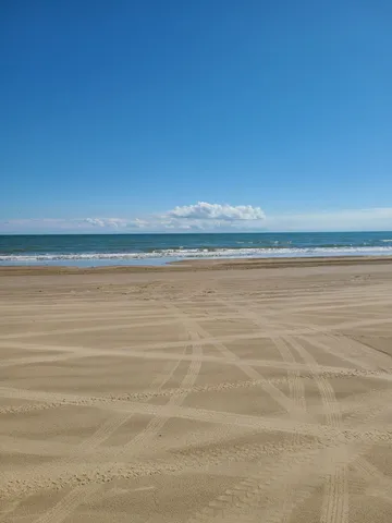 a view of a big yard with large trees