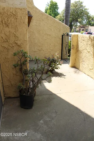 a view of a backyard with plants