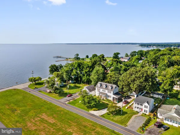 view of a bunch of flowers in it