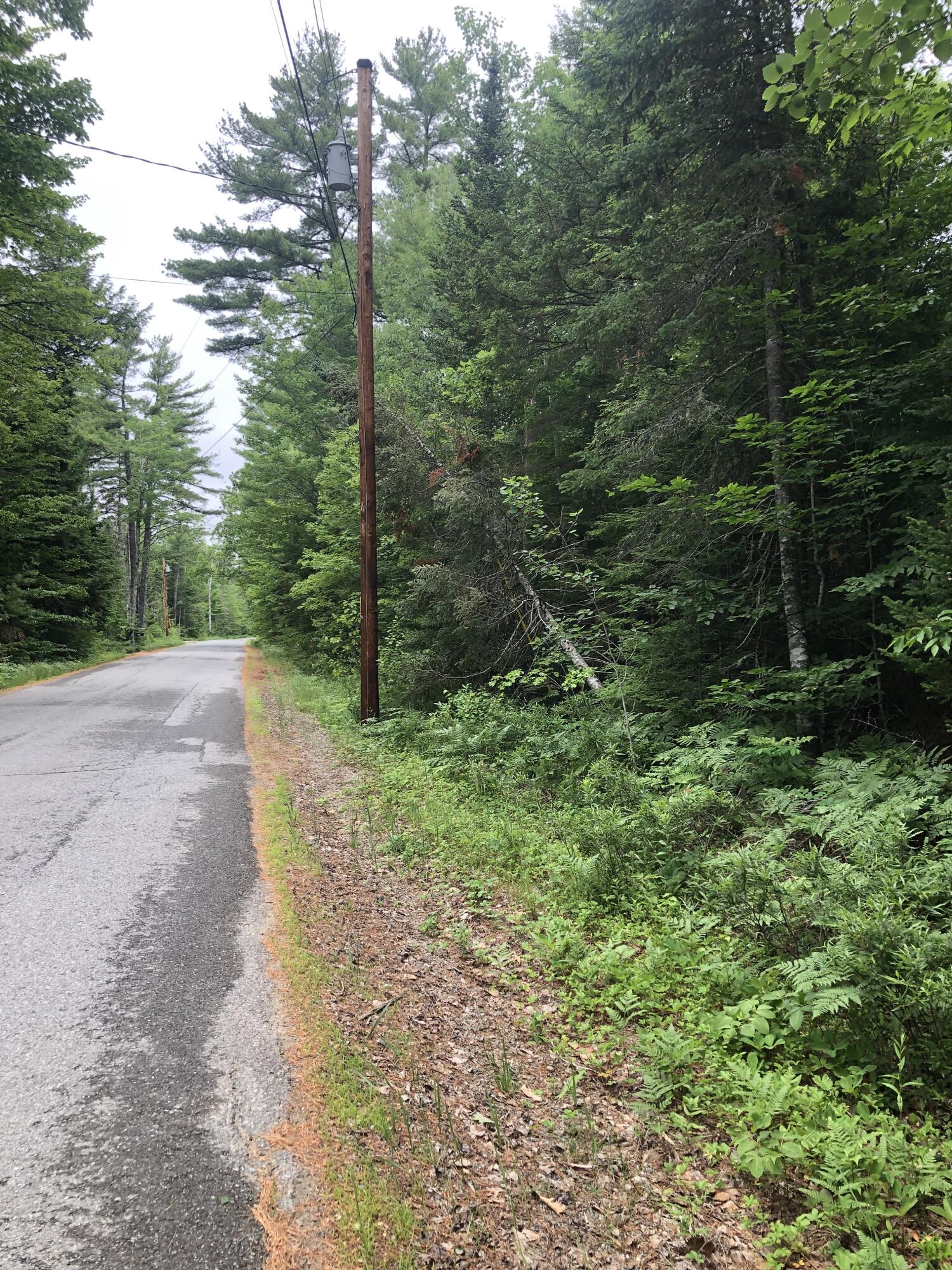 Tbd Getchell Road Clifton, ME 04428 - Photo 1 of 7 IMG_2285
