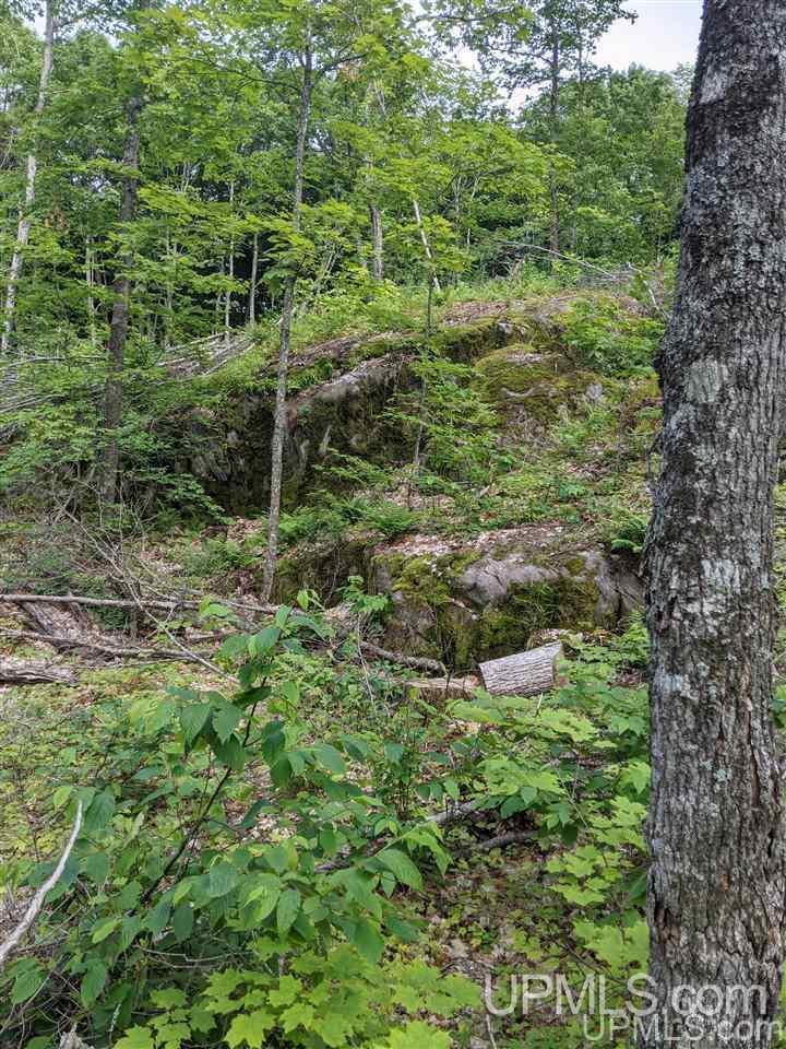 Ffr 4584 Forest Road Iron River, MI 49935 - Photo 5 of 12