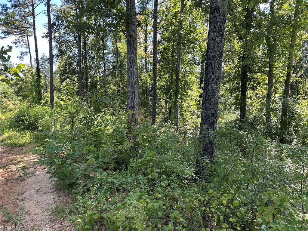 174 Eric Road Mocksville, NC 27028 - Photo 2 of 3 Gallery Image 2