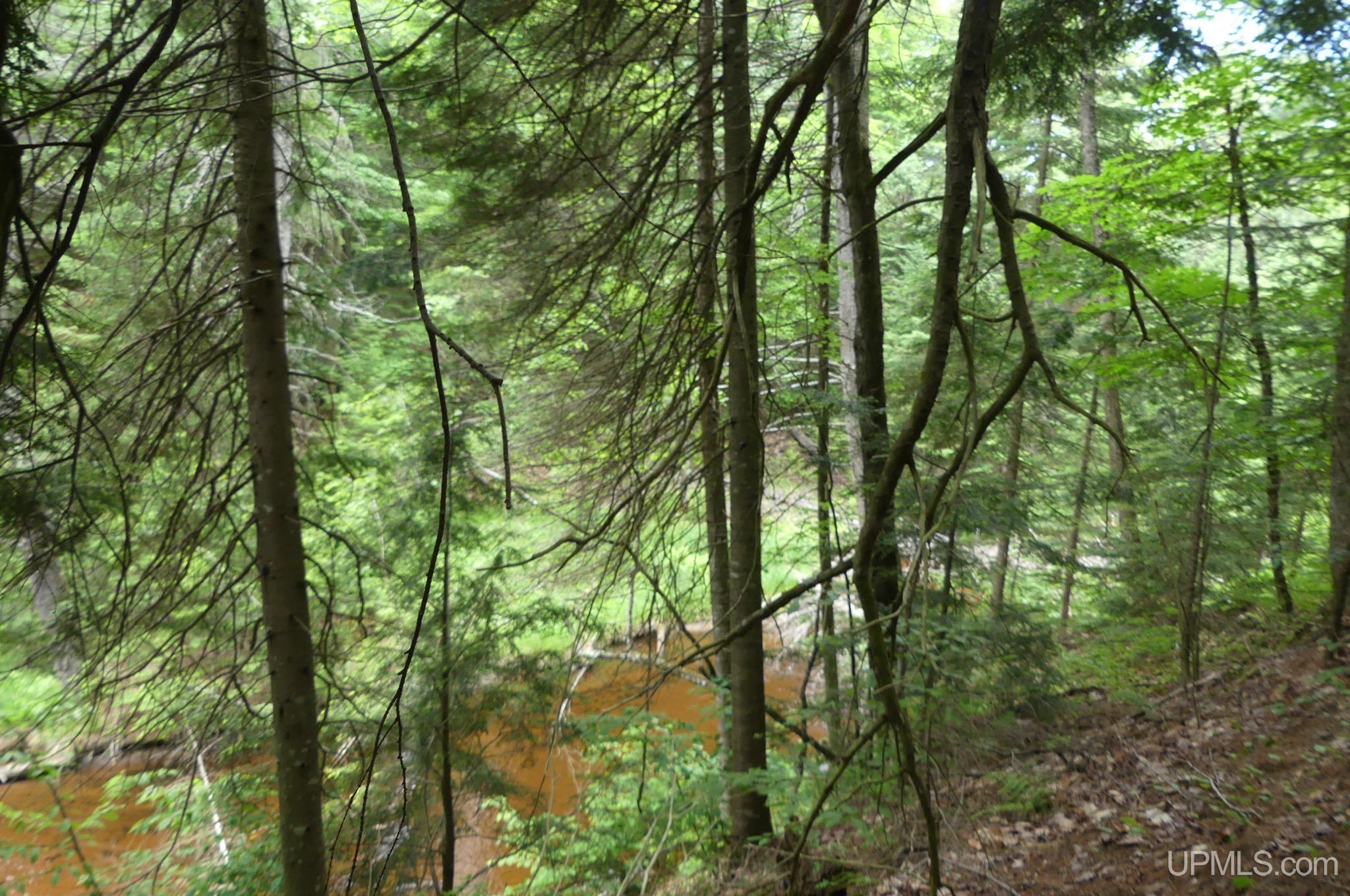 47 East 3rd Road Seney, MI 49883 - Photo 28 of 30 Gallery Image 28