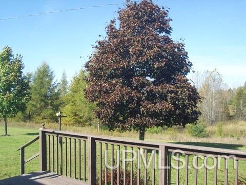 1804 15.5 Road Bark River, MI 49807 - Photo 27 of 28 Gallery Image 27