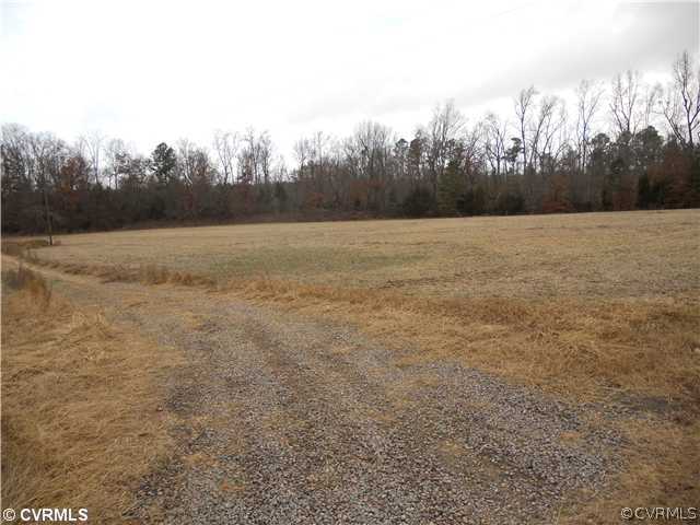 8101 Hines Road Disputanta, VA 23842 - Photo 4 of 6 Land