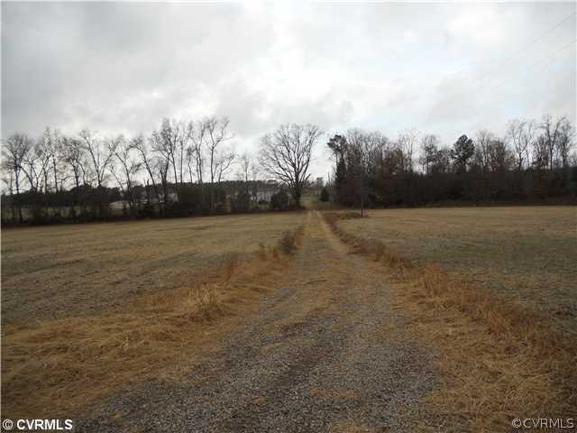 8101 Hines Road Disputanta, VA 23842 - Photo 5 of 6 Land/Lot