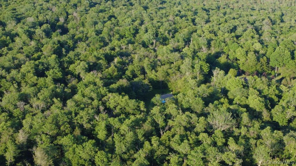 52 Log Road Parksville, NY 12768 - Photo 29 of 31