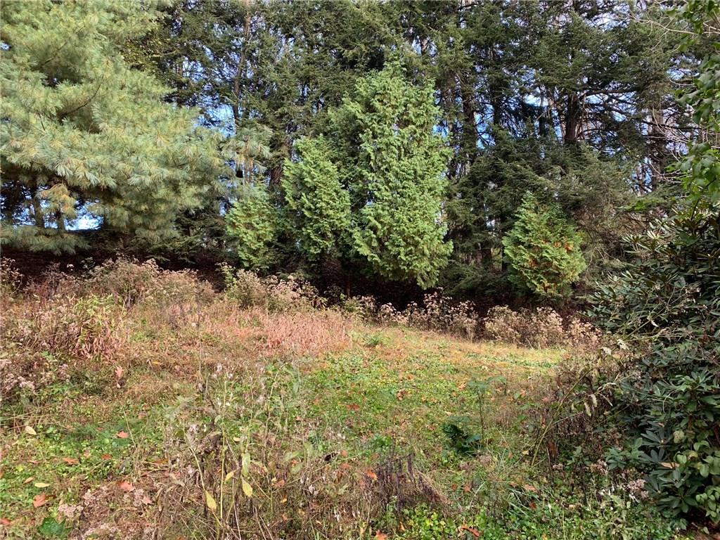 201 Highway 68 Rochester, PA 15074 - Photo 3 of 24 Two tiered level backyard and side yard surrounded by mature trees.