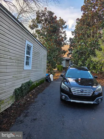 a view of yard with tree