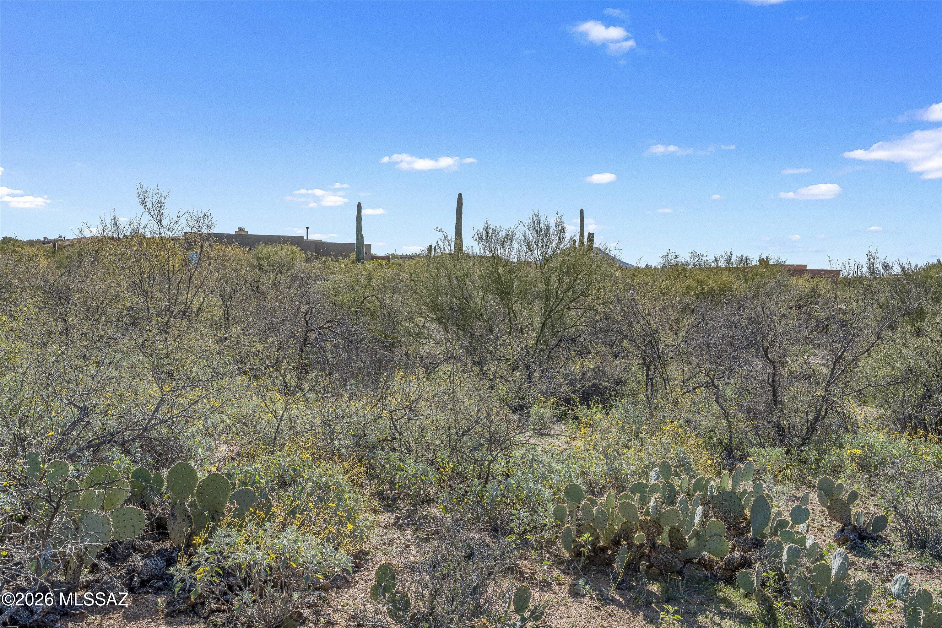 8293 South Tumbling Y Ranch Place, Unit 142 Vail, AZ 85641 - Photo 13 of 30