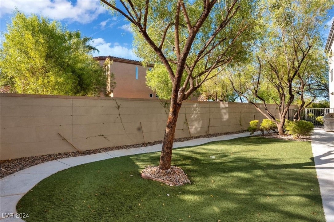 11348 La Madre Ridge Drive Las Vegas, NV 89135 - Photo 11 of 75 Backyard features newly renovated gated dog run with faux lawn. Dog door leading into the home for convenience.