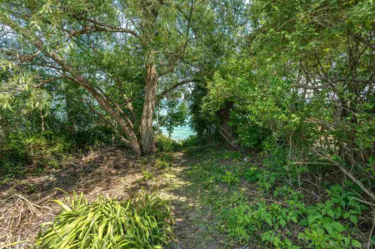 7354 Mortimer Line Road Lexington, MI 48450 - Photo 28 of 29 Access to Lake Huron