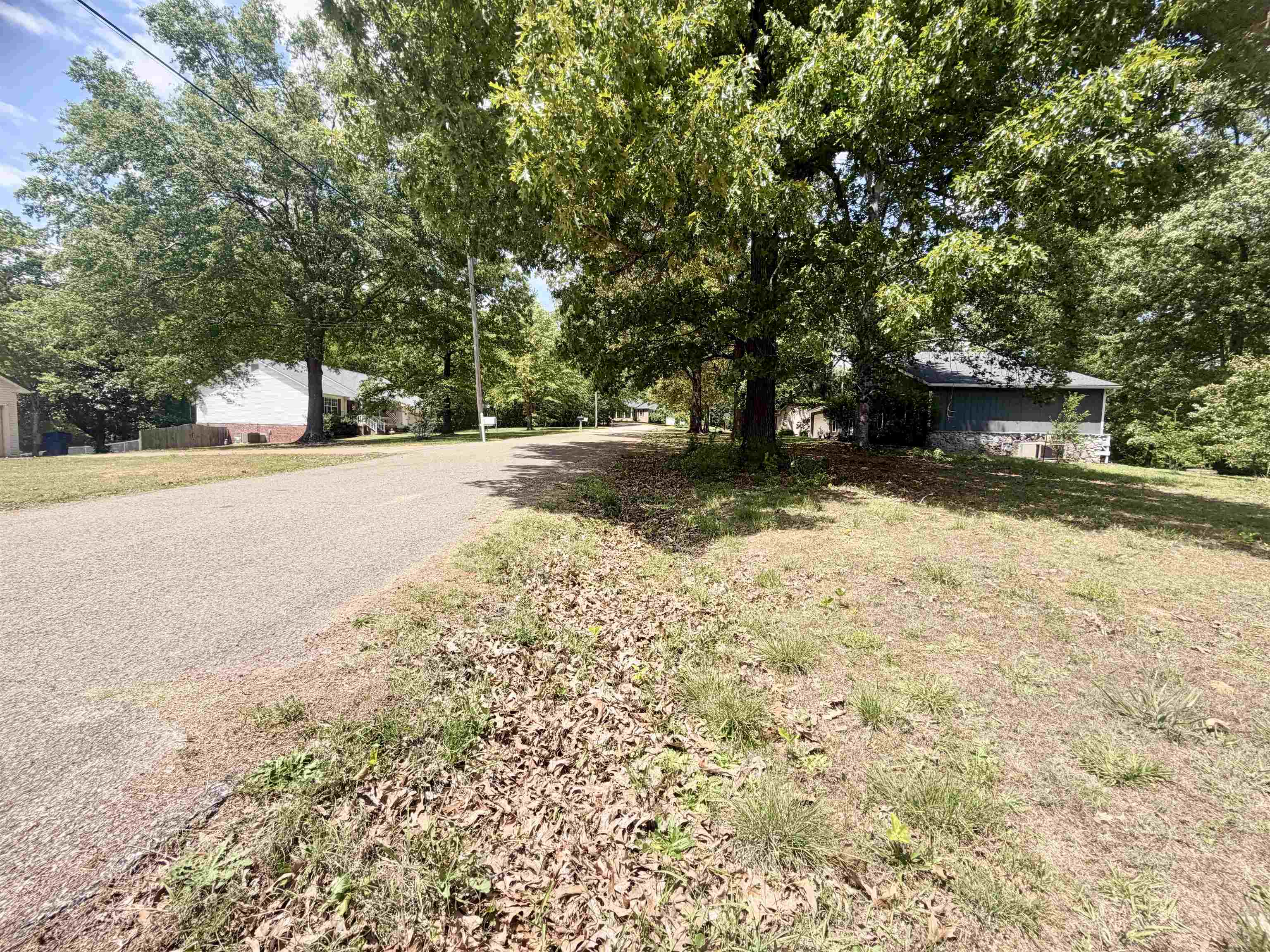 15 Pine Street Adamsville, TN 38310 - Photo 4 of 6