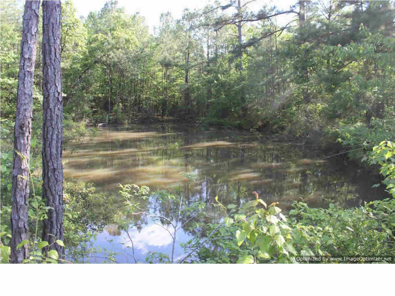 532 Star-Braxton Road Braxton, MS 39044 - Photo 1 of 6 Photo 1