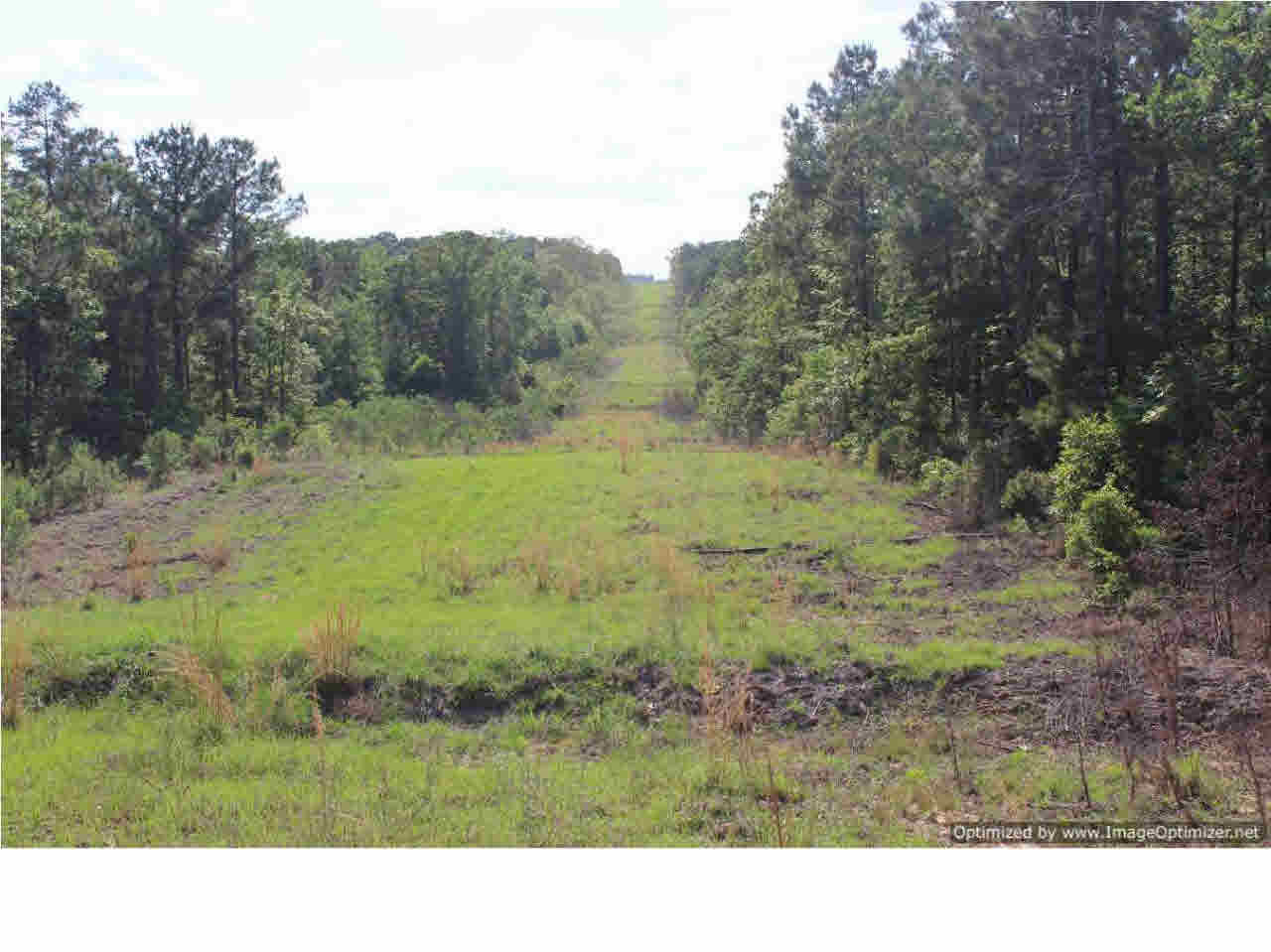 532 Star-Braxton Road Braxton, MS 39044 - Photo 2 of 6 Photo 2