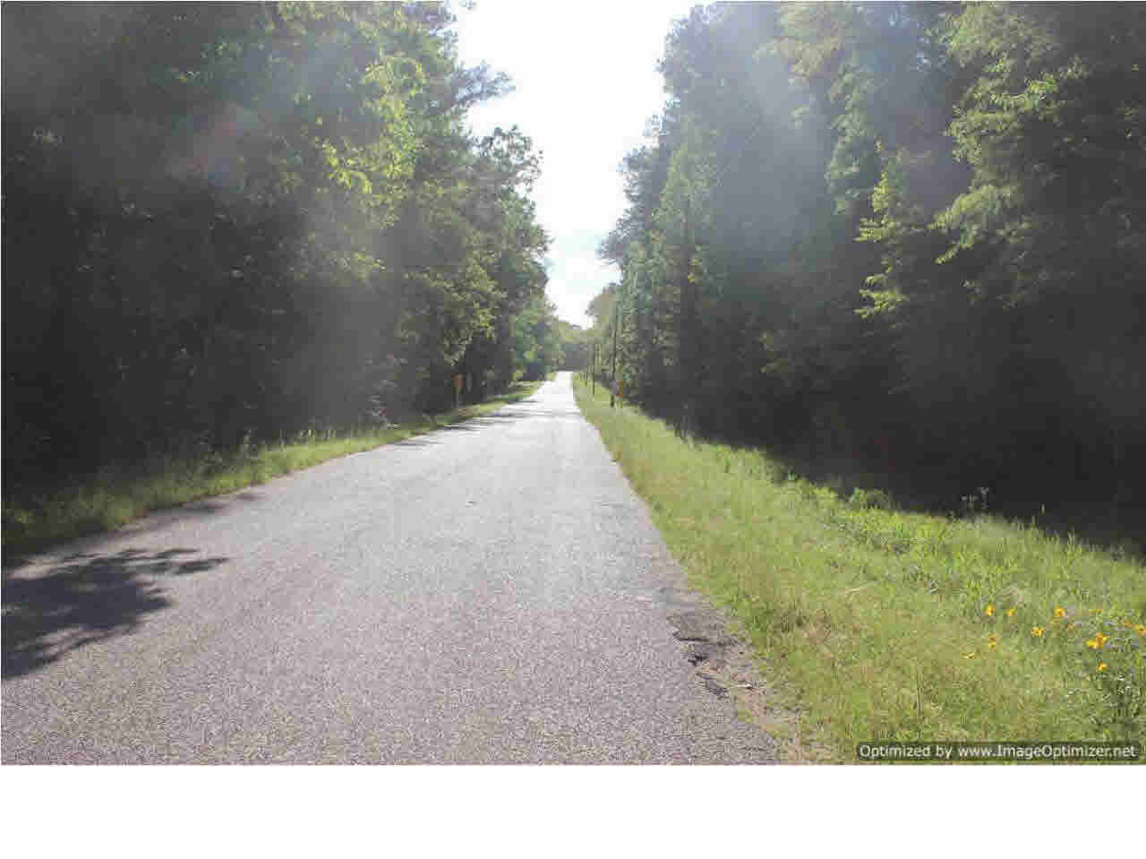 532 Star-Braxton Road Braxton, MS 39044 - Photo 6 of 6 Photo 6