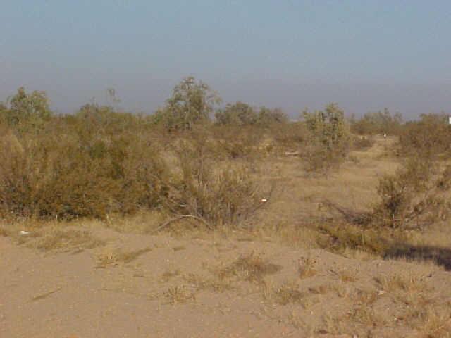 31 West Meadow View Road, Unit 31 Stanfield, AZ 85172 - Photo 2 of 3 Additional Photo
