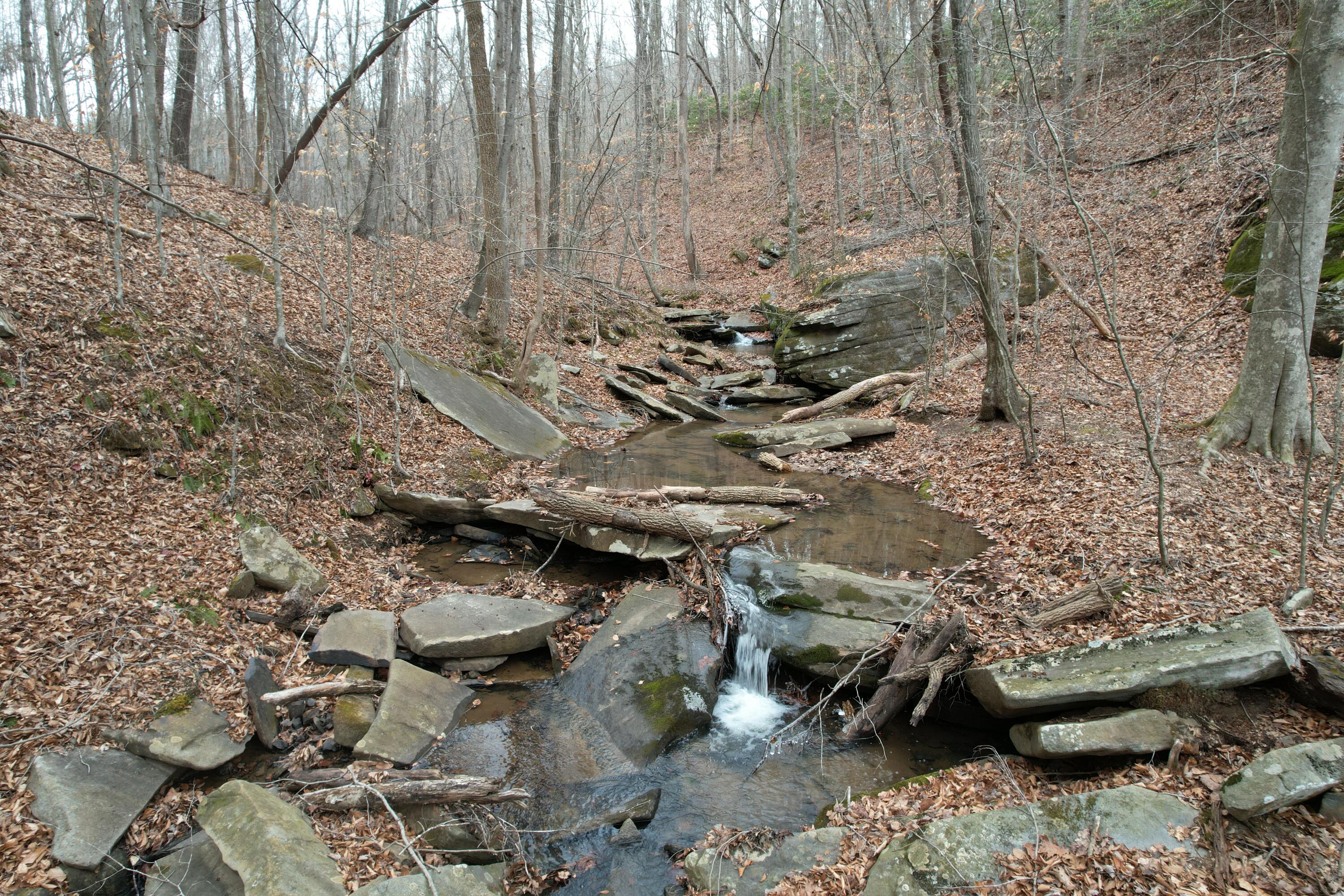 a view of outdoor space and a yard