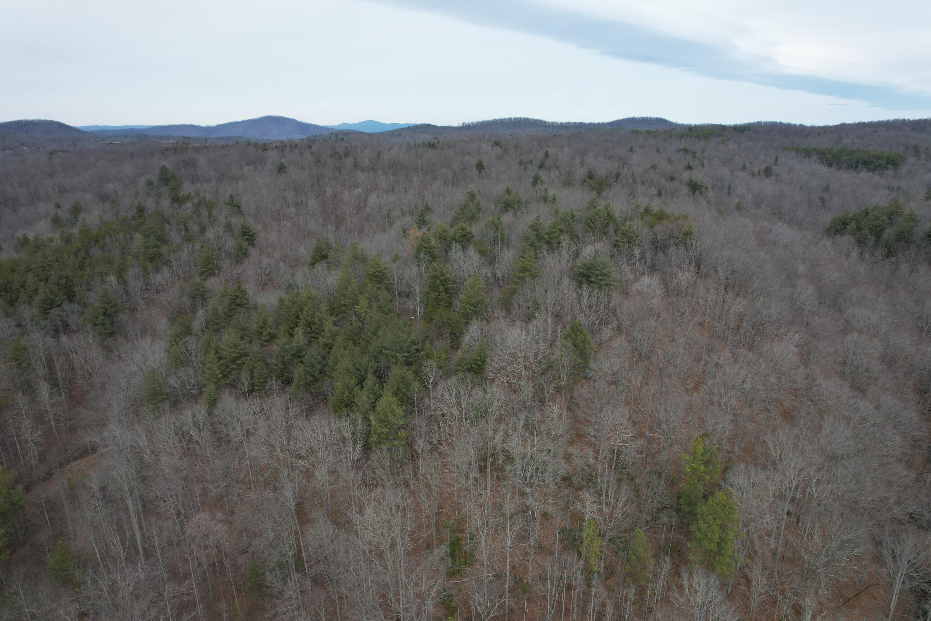0 Carson Drive Ferrum, VA 24088 - Photo 11 of 60 a view of a mountain range with trees in the background