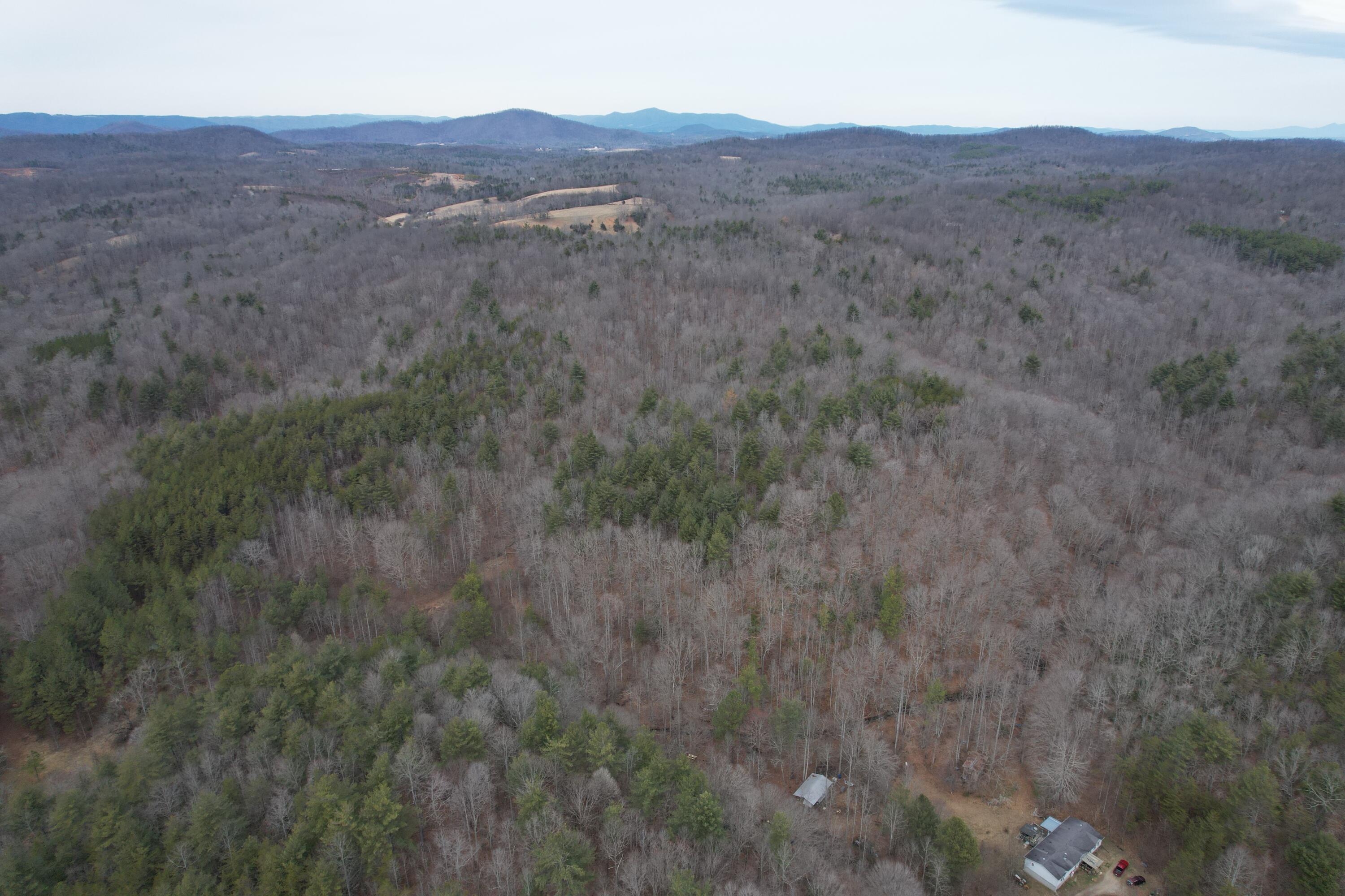 0 Carson Drive Ferrum, VA 24088 - Photo 12 of 60 a view of a mountain in the distance in a field