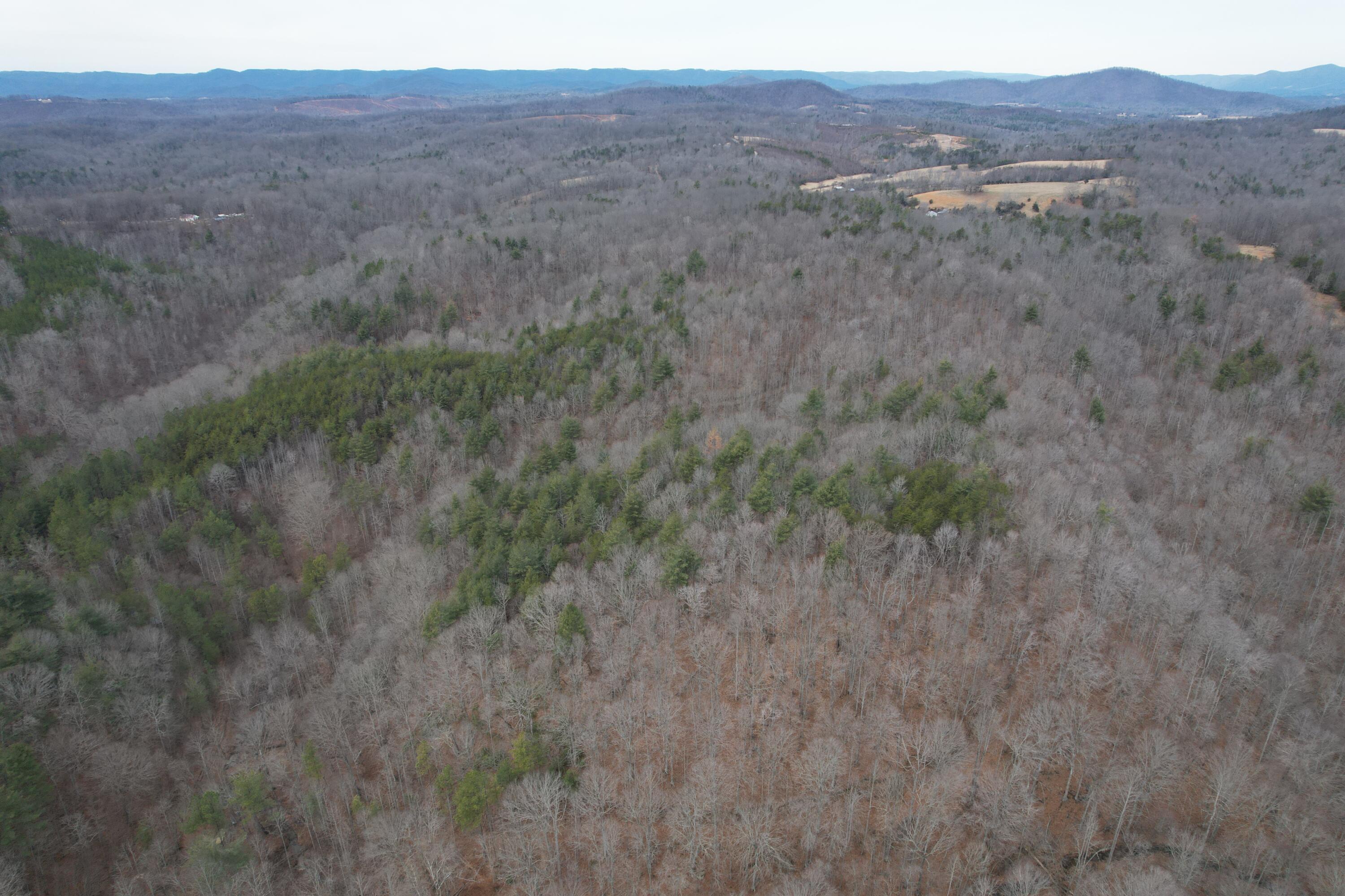 0 Carson Drive Ferrum, VA 24088 - Photo 14 of 60 a view of a dry dry field