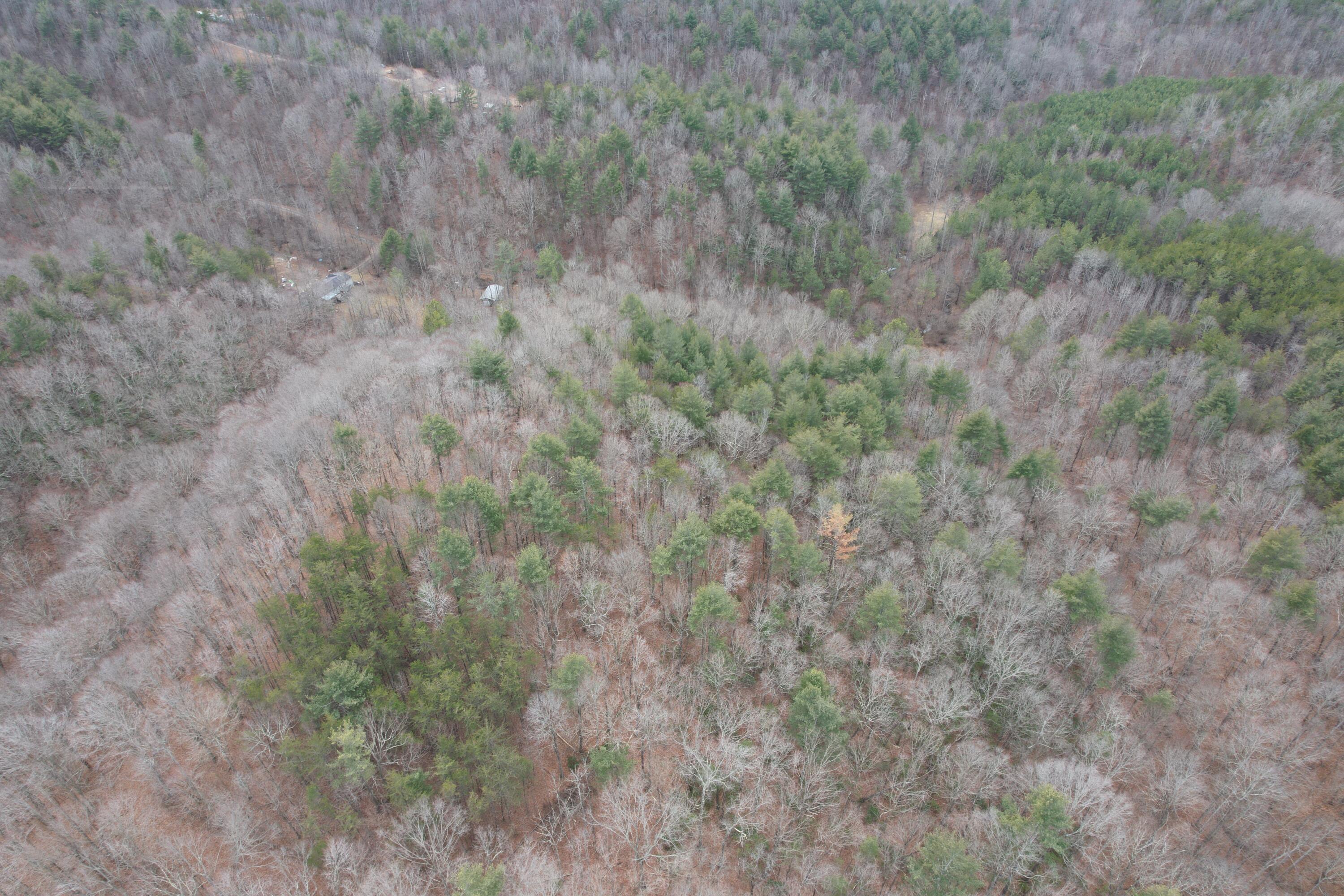 0 Carson Drive Ferrum, VA 24088 - Photo 15 of 60 a view of a dry field