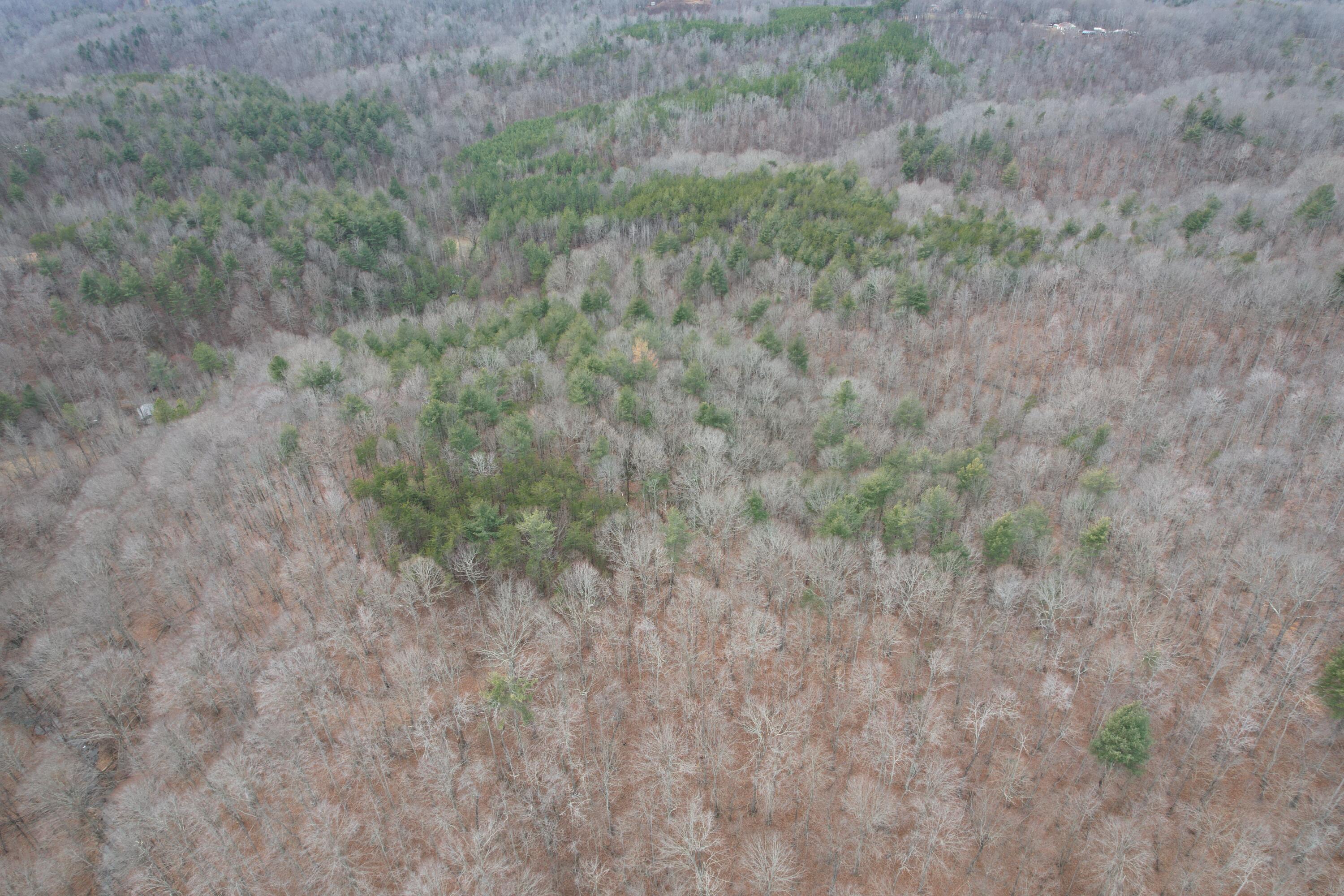 0 Carson Drive Ferrum, VA 24088 - Photo 16 of 60 DJI_0410