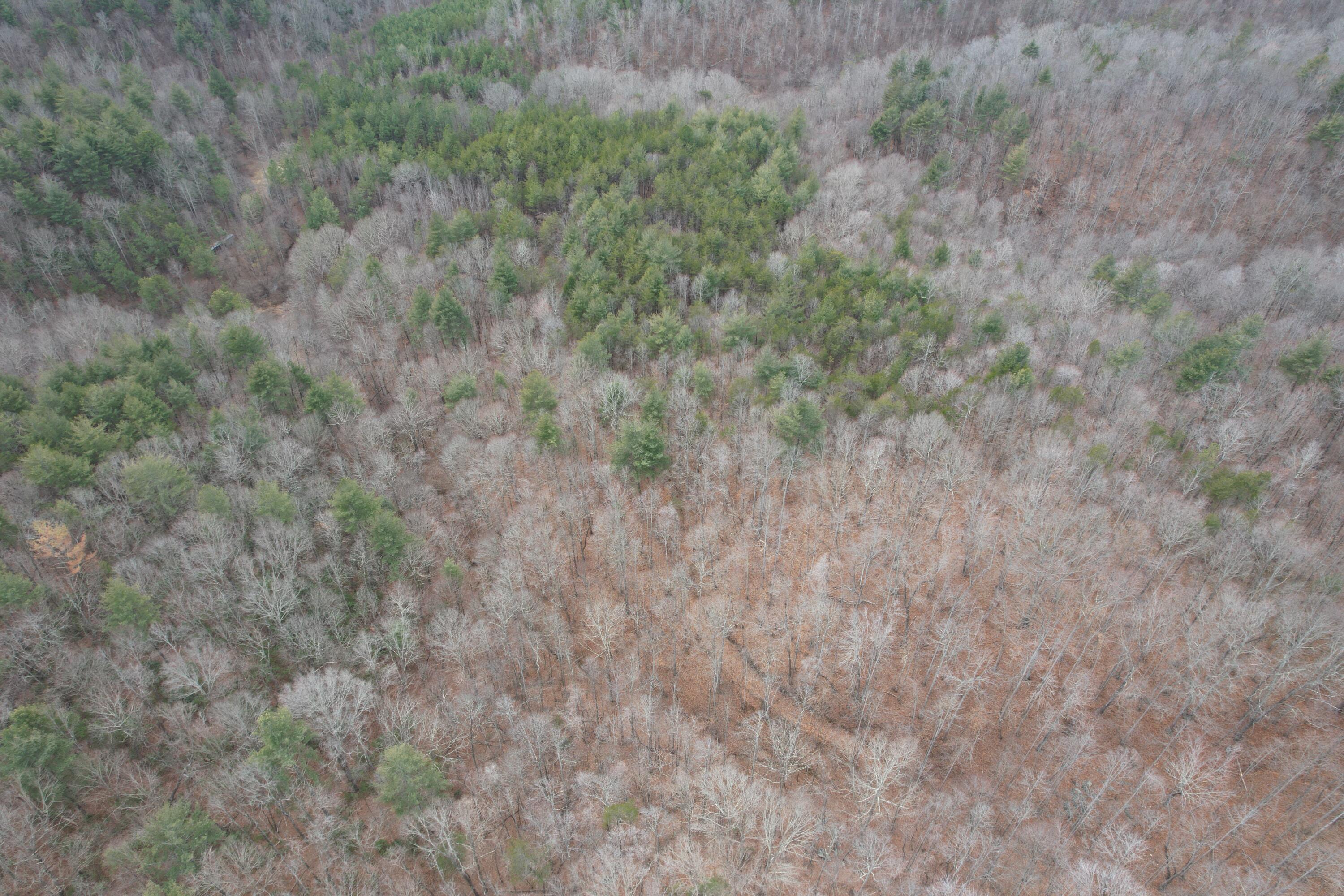 0 Carson Drive Ferrum, VA 24088 - Photo 17 of 60 a view of a dry field