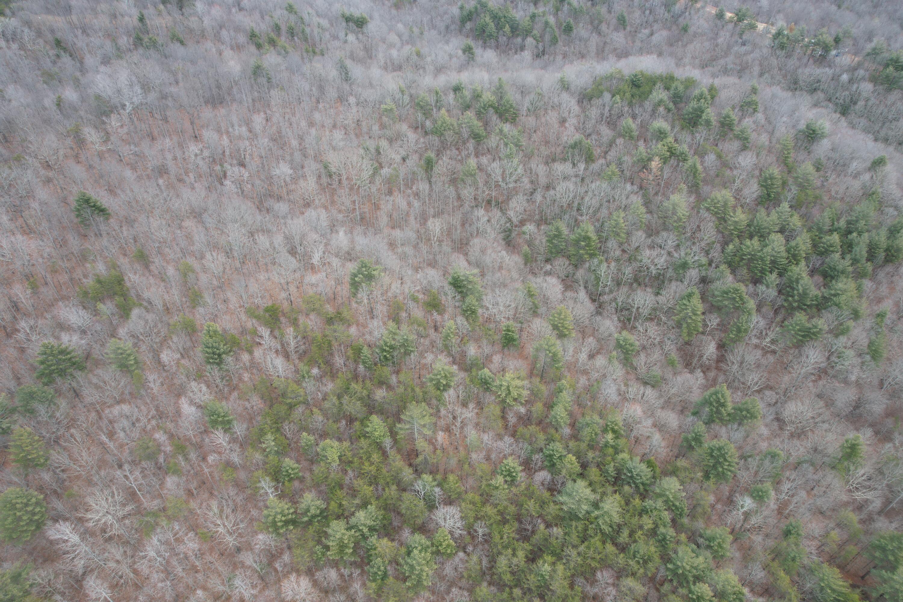 0 Carson Drive Ferrum, VA 24088 - Photo 20 of 60 a view of a dry field