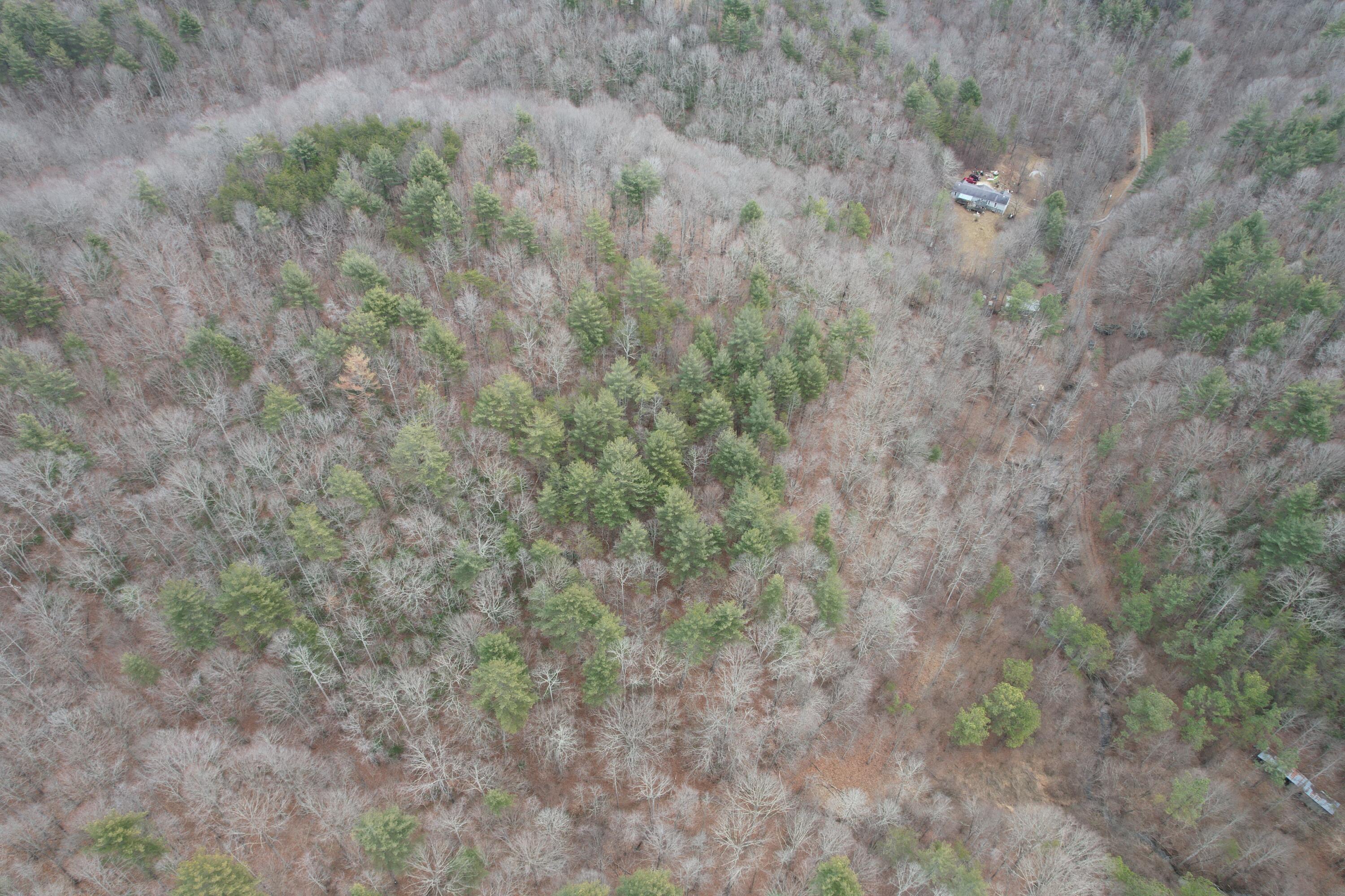 0 Carson Drive Ferrum, VA 24088 - Photo 21 of 60 a view of a dry field