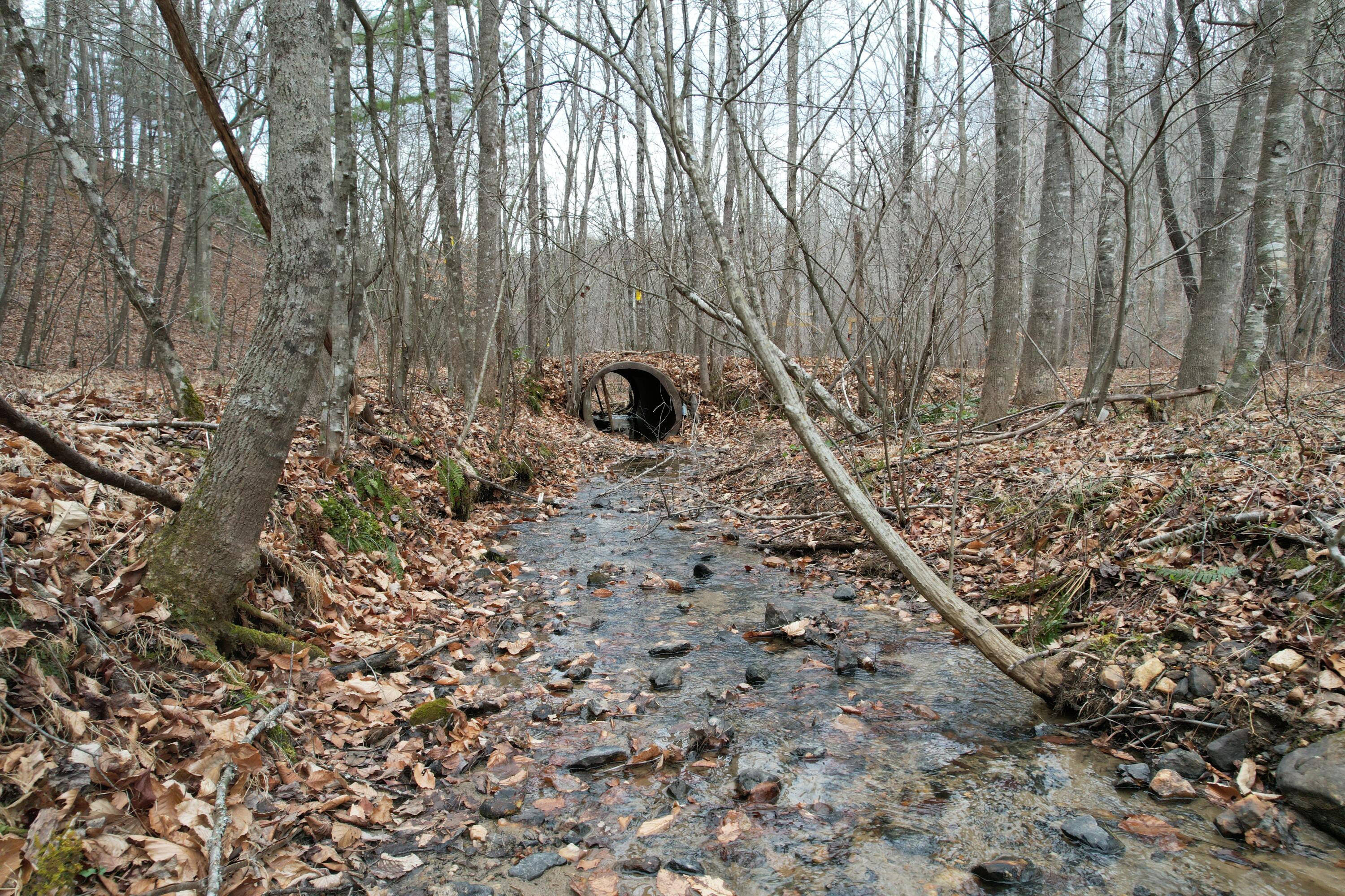 0 Carson Drive Ferrum, VA 24088 - Photo 23 of 60 a backyard of a house with lots of green space