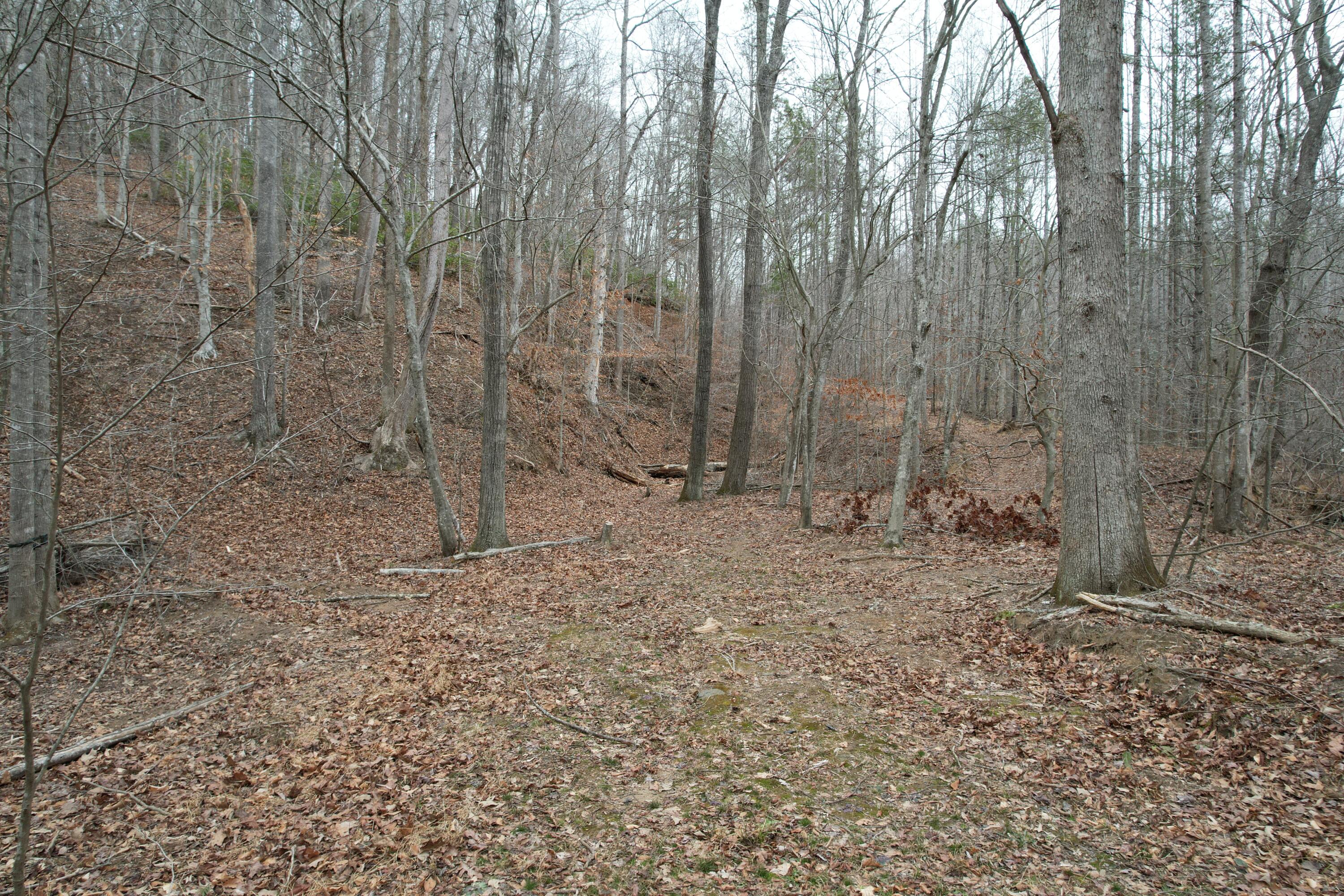 0 Carson Drive Ferrum, VA 24088 - Photo 27 of 60 a view of a dry yard with trees in the background