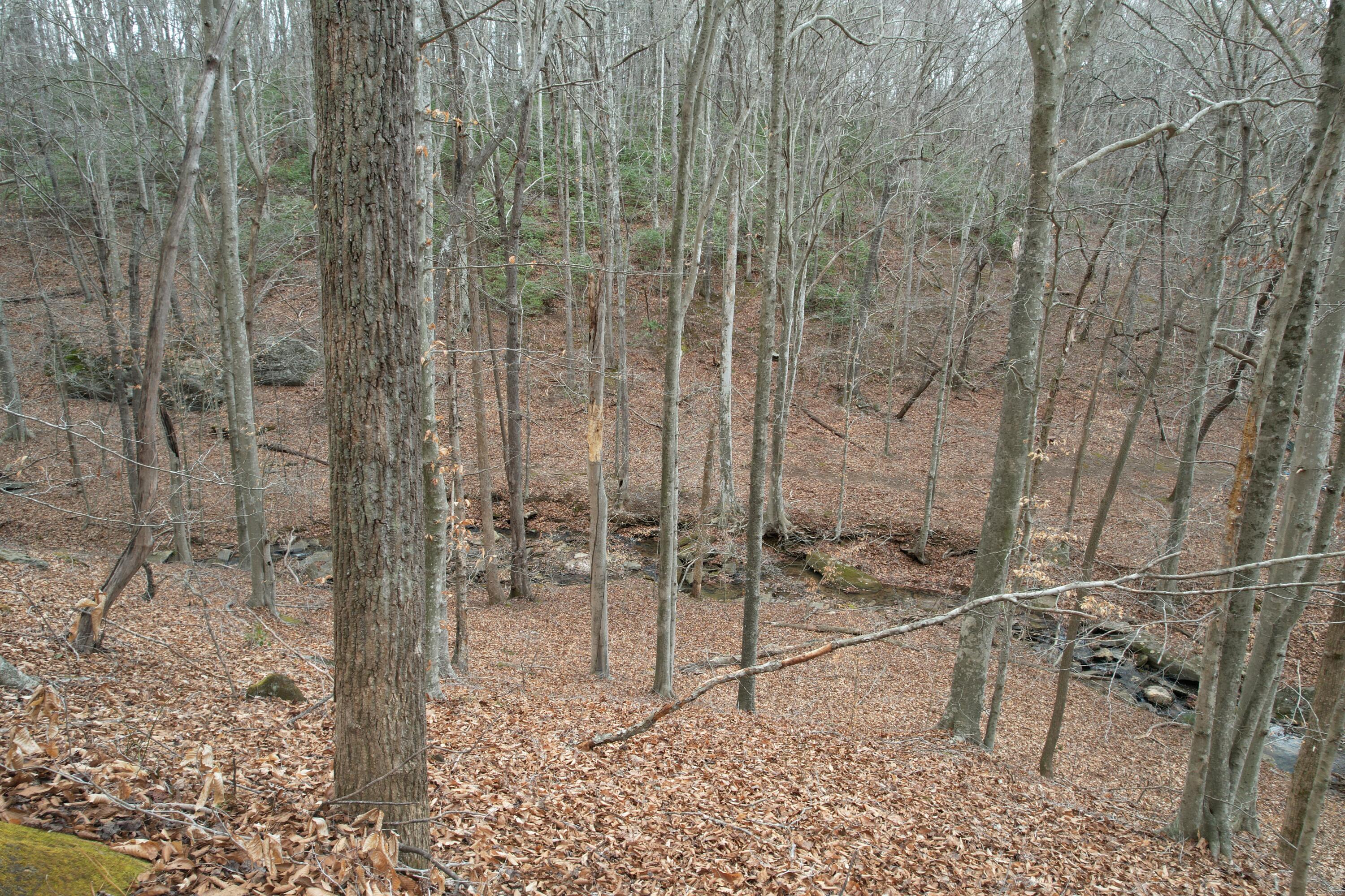 0 Carson Drive Ferrum, VA 24088 - Photo 28 of 60 a bathroom with a shower