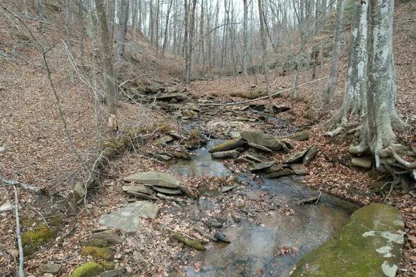 $149,000 | 0 Carson Drive, Ferrum, VA 24088
