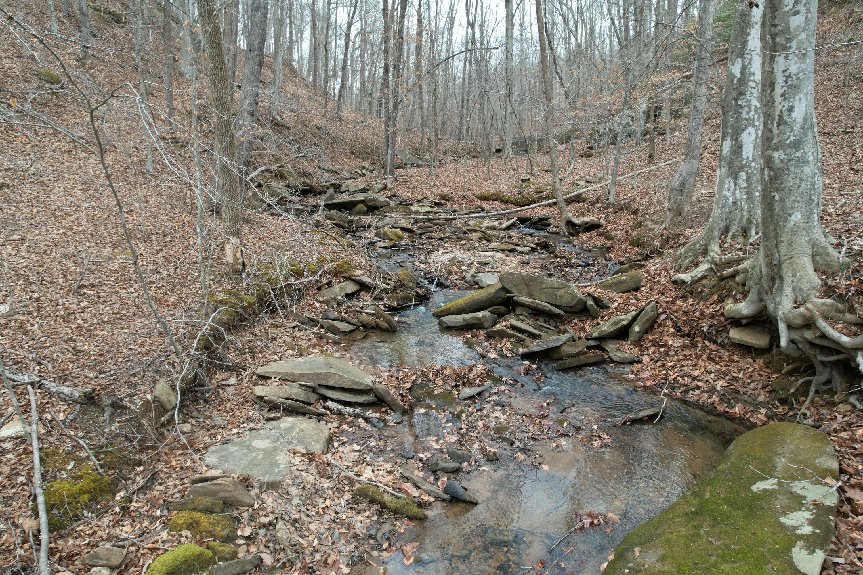 0 Carson Drive Ferrum, VA 24088 - Photo 29 of 60 DJI_0424