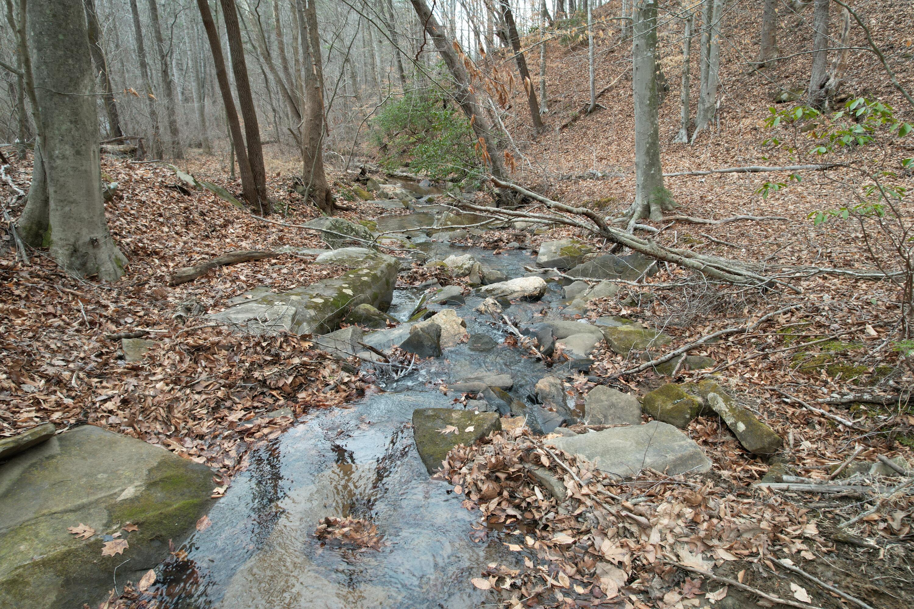 0 Carson Drive Ferrum, VA 24088 - Photo 30 of 60 a view of a dry yard with trees