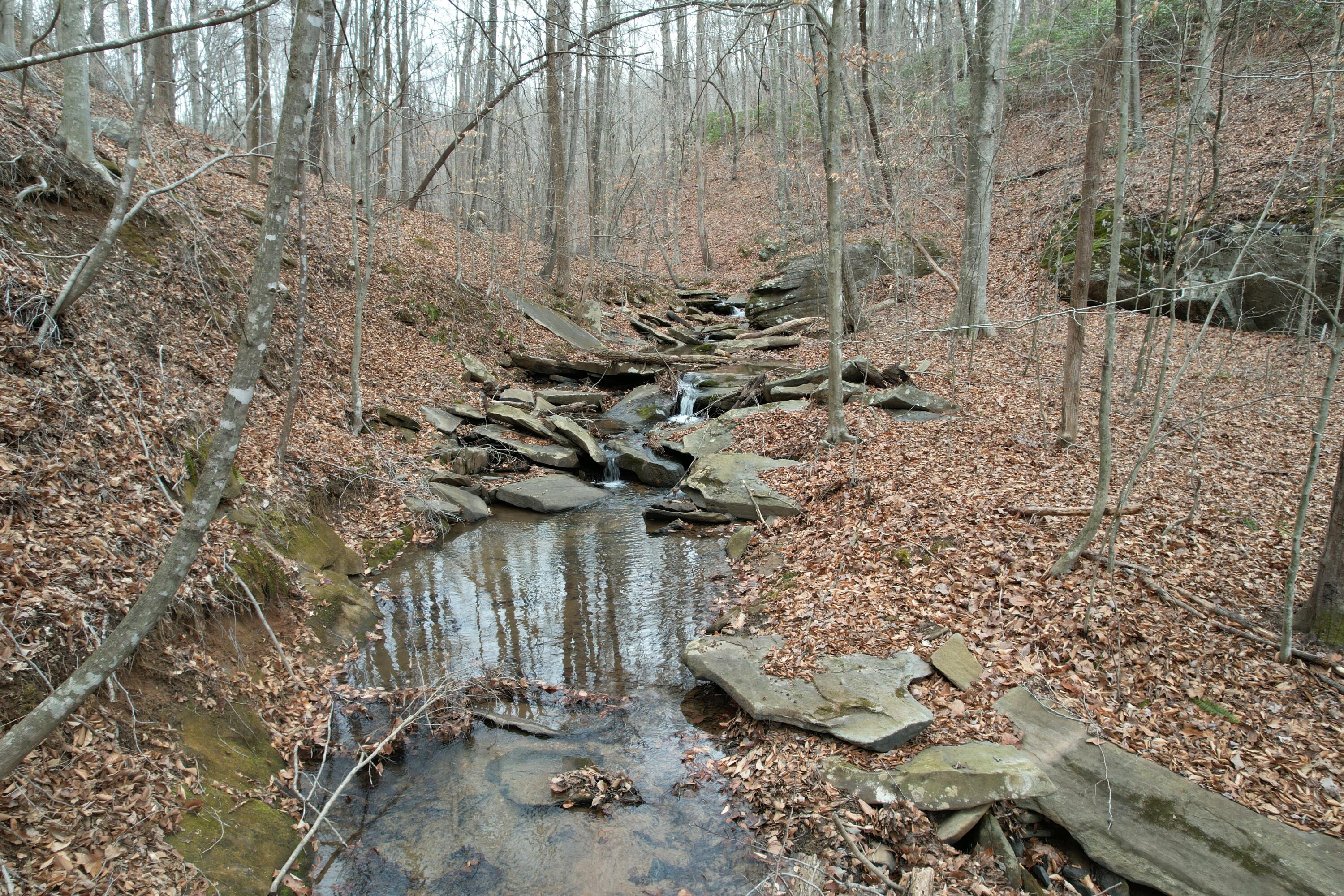0 Carson Drive Ferrum, VA 24088 - Photo 3 of 60 a view of a dry yard with wooden fence and trees