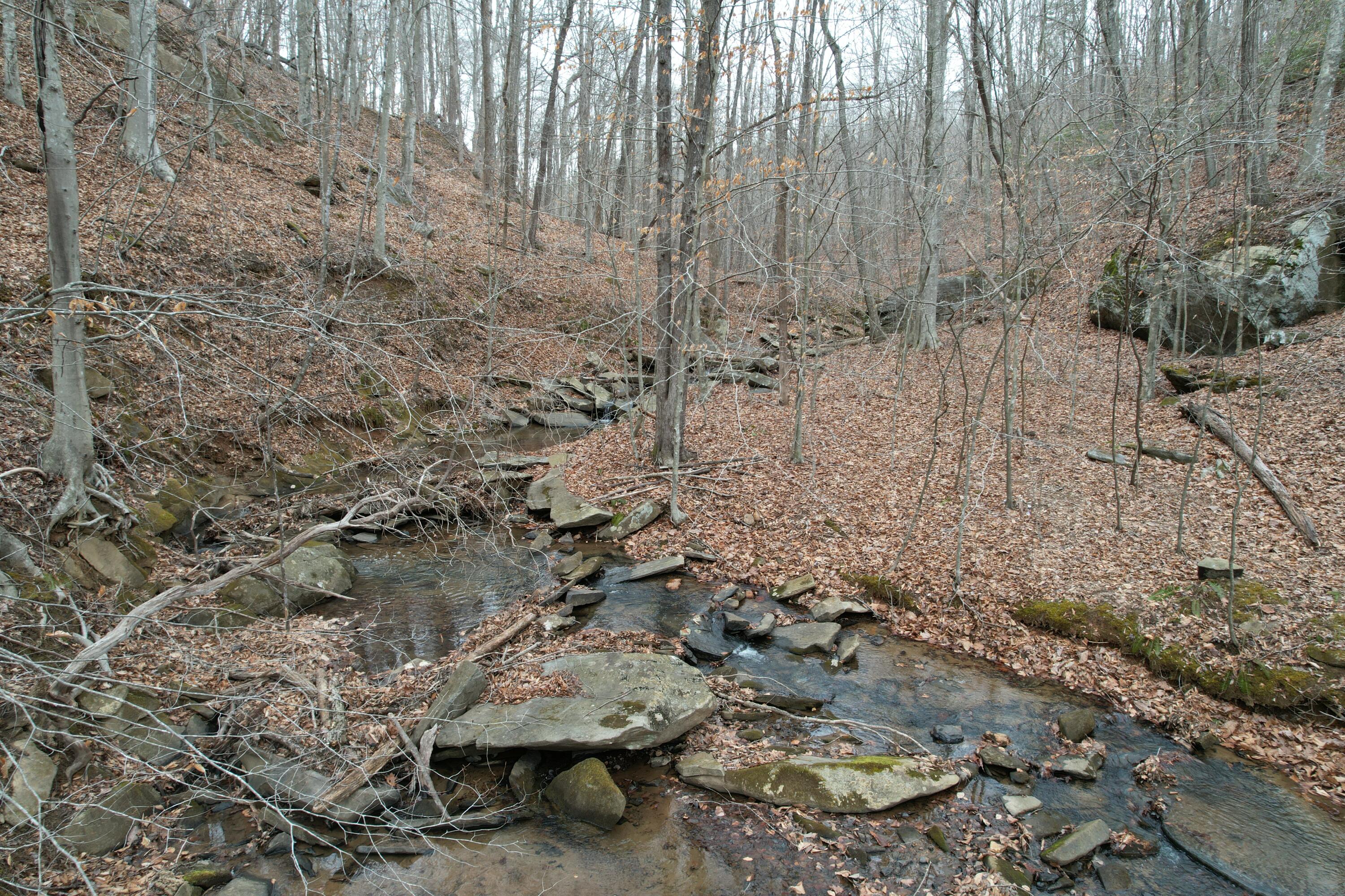 0 Carson Drive Ferrum, VA 24088 - Photo 32 of 60 DJI_0427