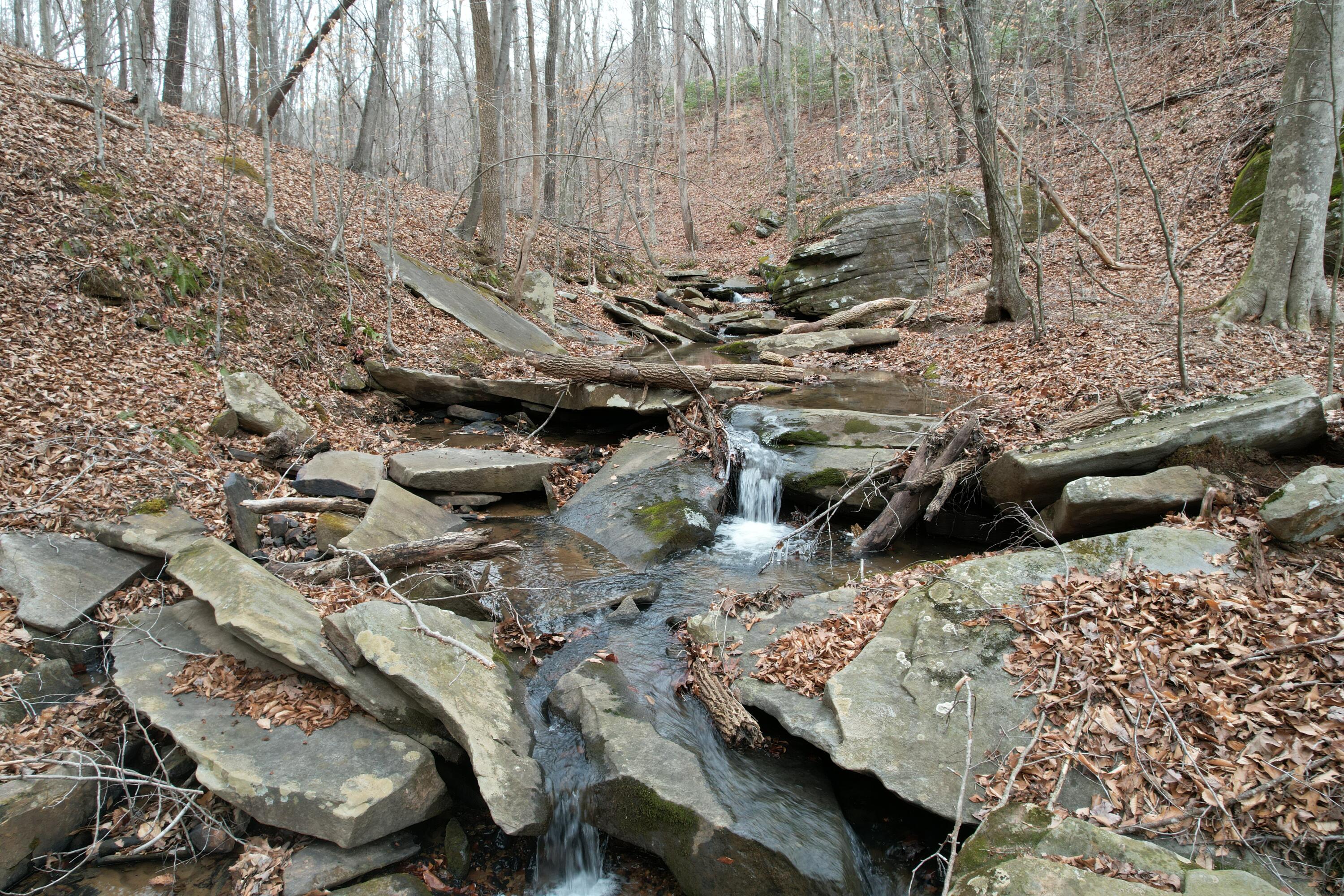 0 Carson Drive Ferrum, VA 24088 - Photo 33 of 60 a view of outdoor space with seating area