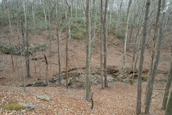 $149,000 | 0 Carson Drive, Ferrum, VA 24088