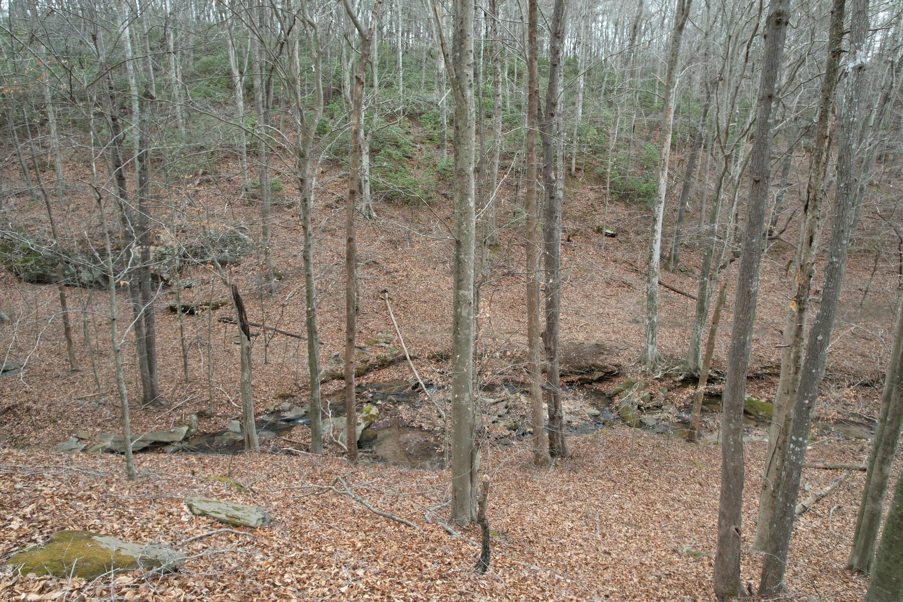 0 Carson Drive Ferrum, VA 24088 - Photo 34 of 60 a bathroom with a shower
