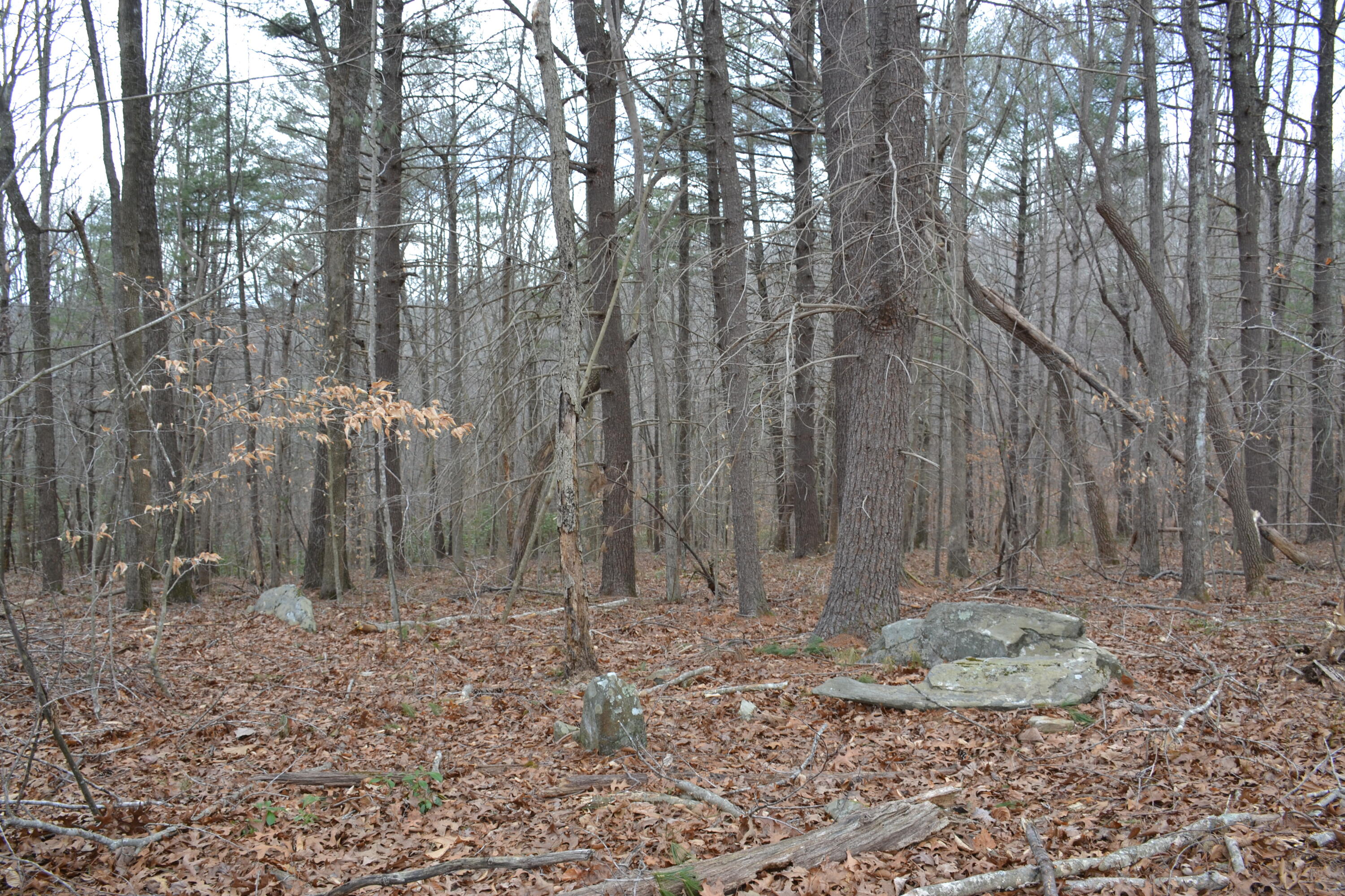 0 Carson Drive Ferrum, VA 24088 - Photo 37 of 60 a view of a backyard
