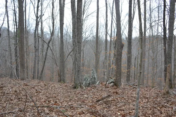 $149,000 | 0 Carson Drive, Ferrum, VA 24088