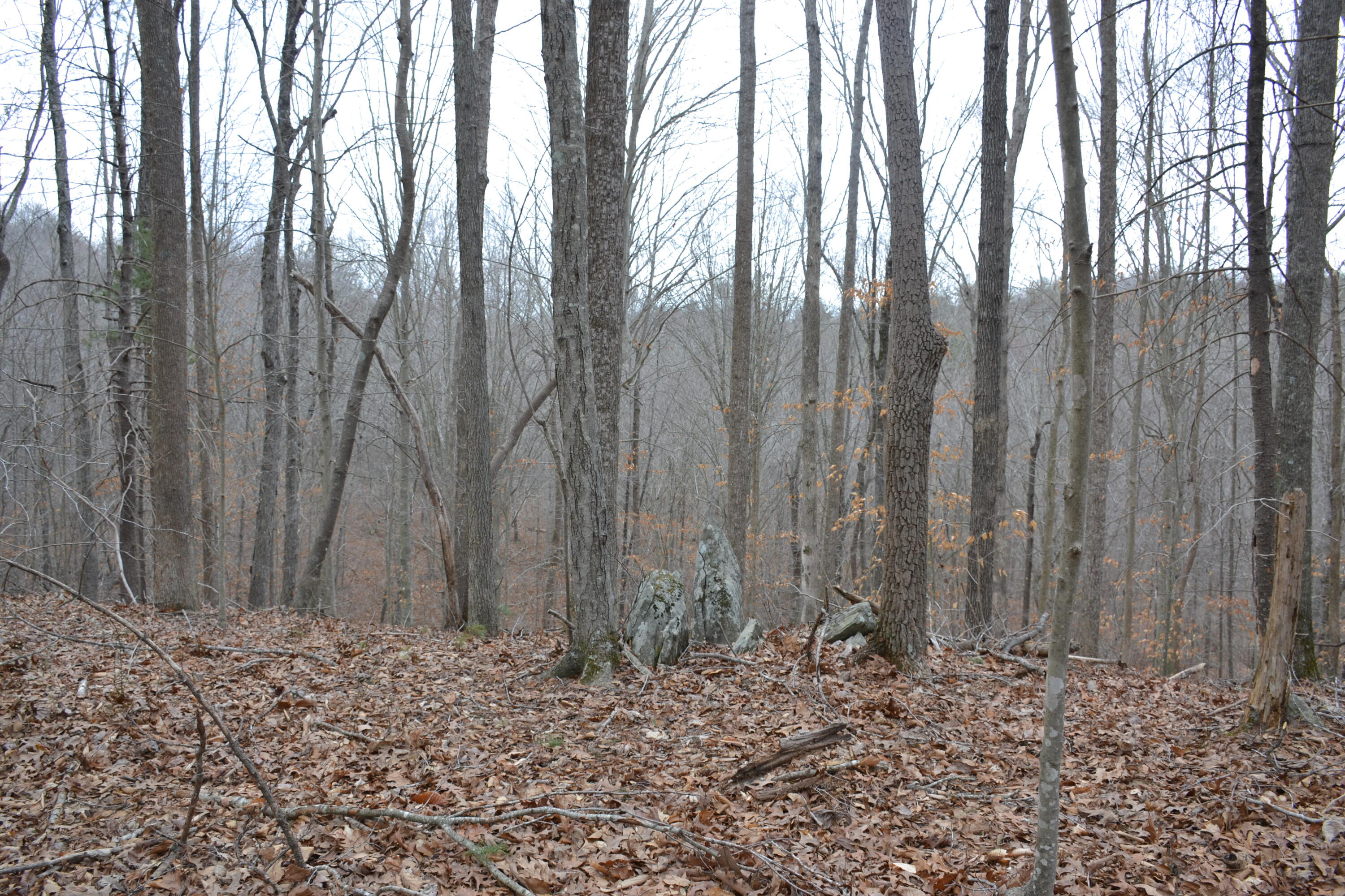0 Carson Drive Ferrum, VA 24088 - Photo 38 of 60 a view of wooden fence