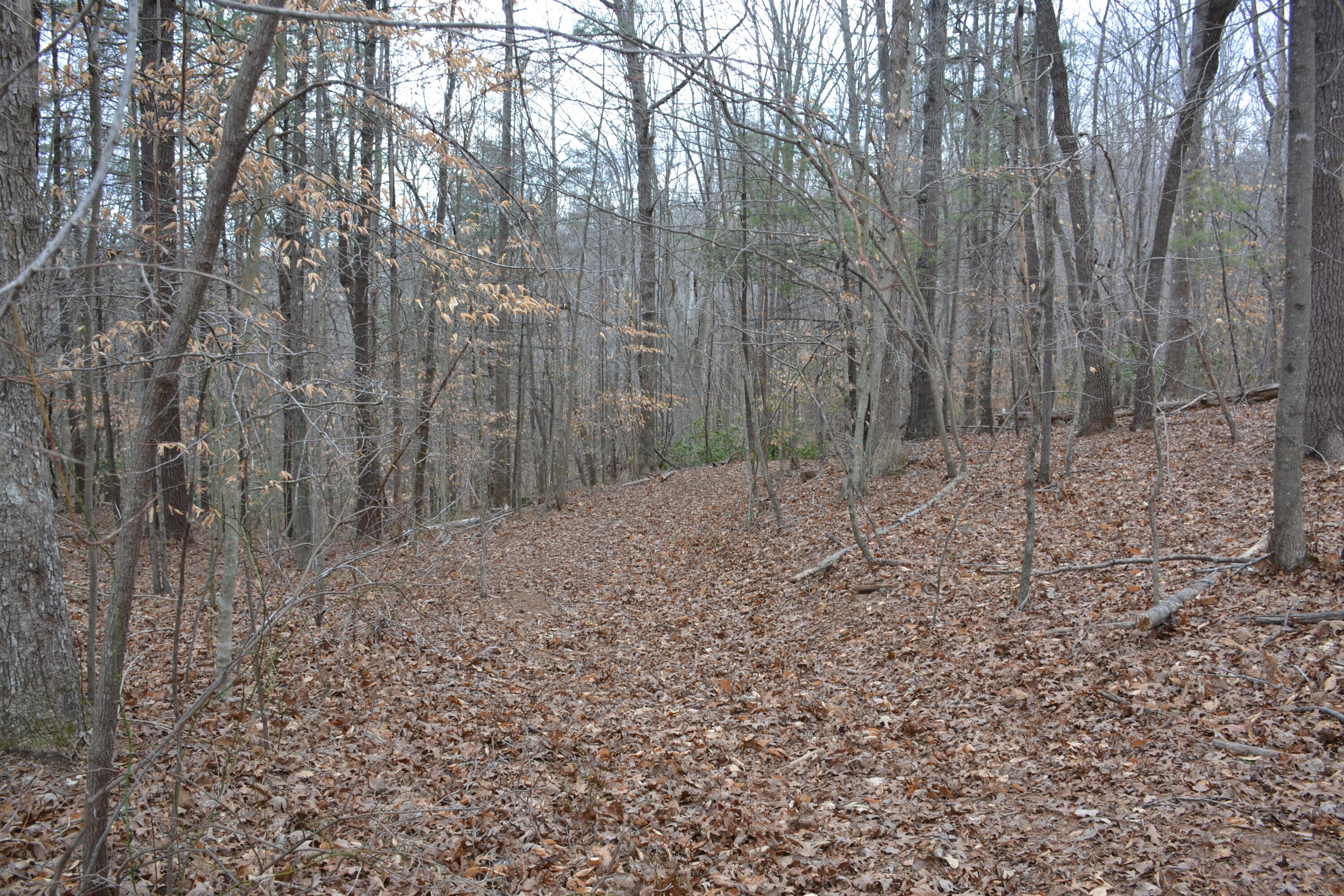 0 Carson Drive Ferrum, VA 24088 - Photo 39 of 60 a view of a yard with trees in the background