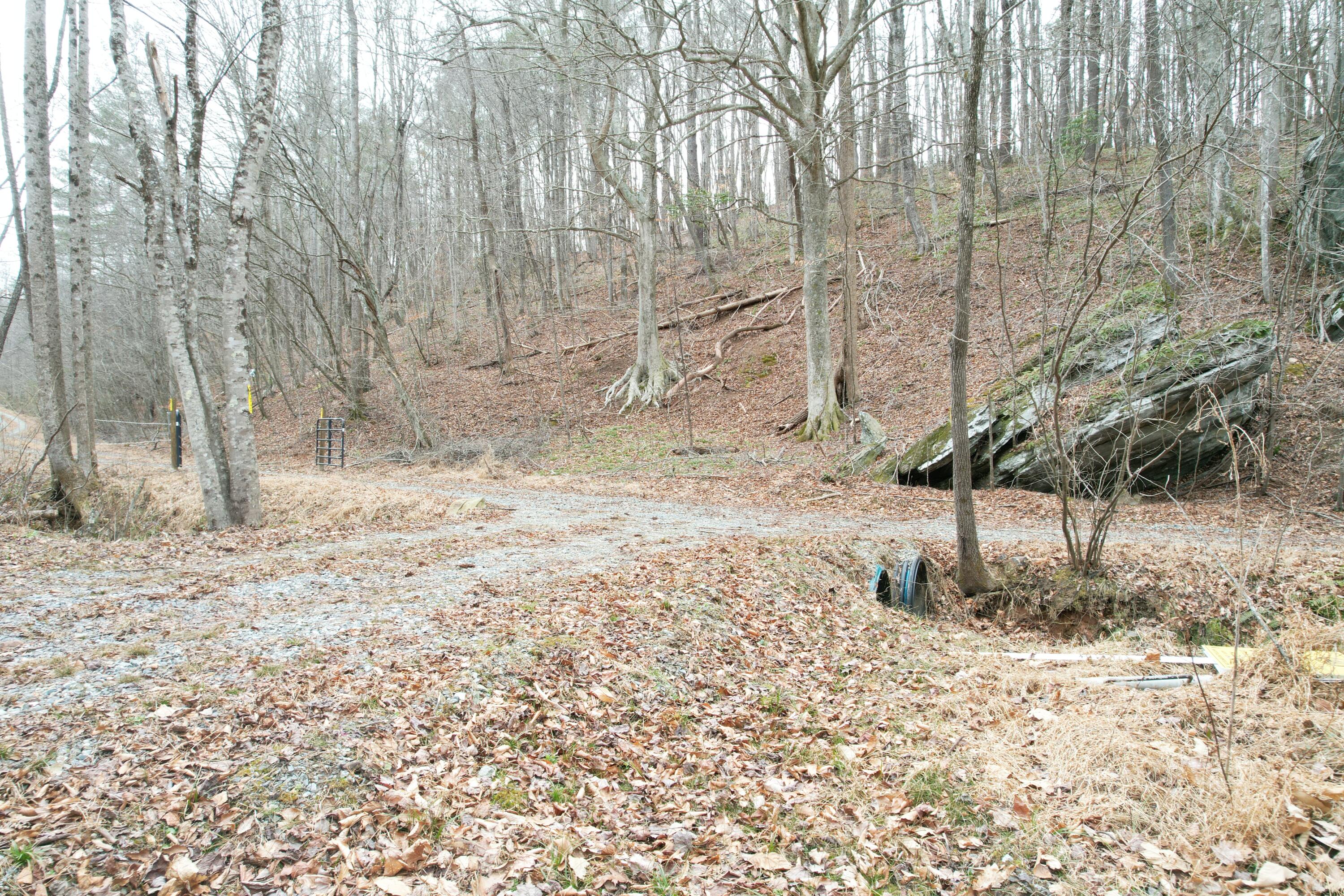0 Carson Drive Ferrum, VA 24088 - Photo 4 of 60 a backyard of a house