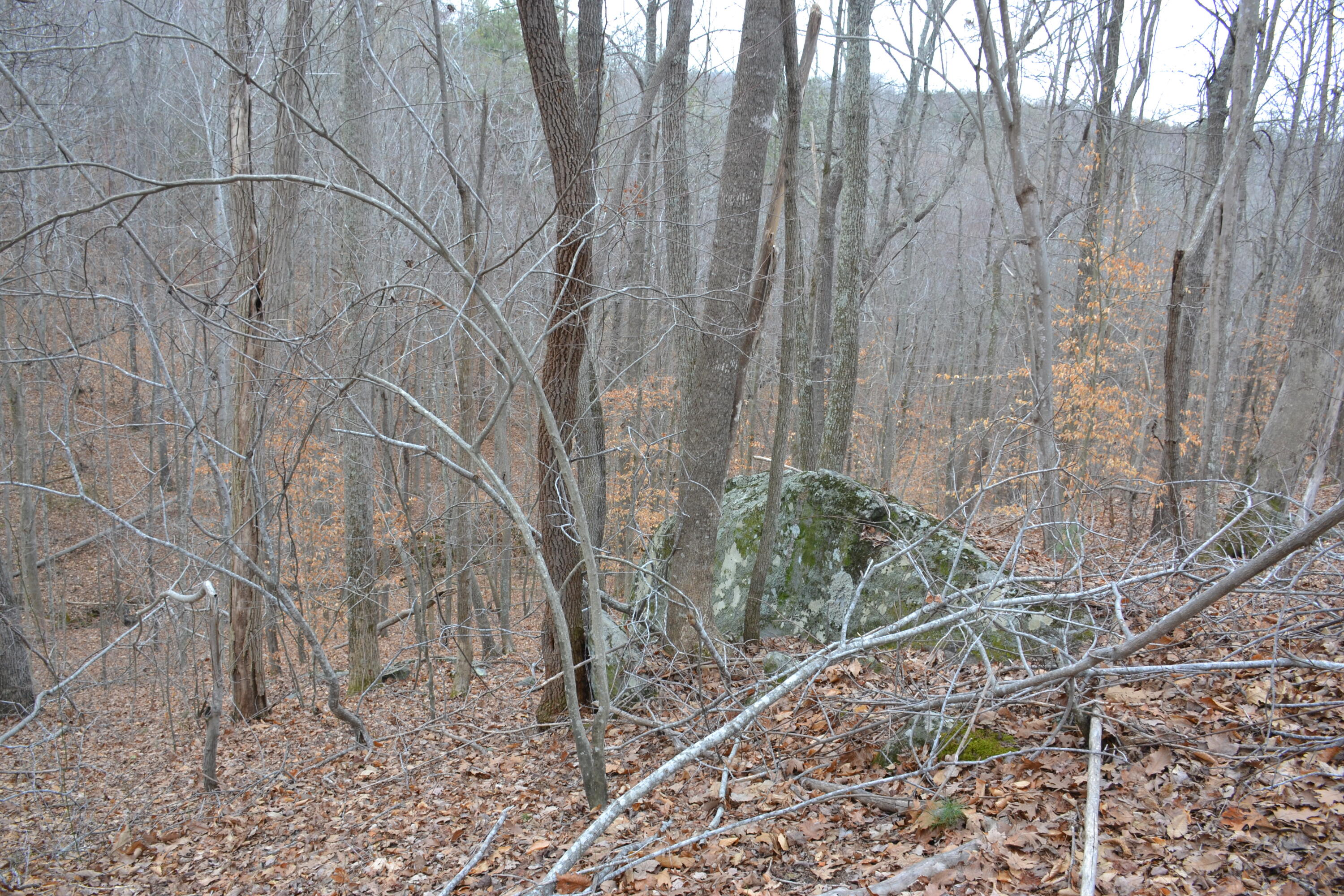 0 Carson Drive Ferrum, VA 24088 - Photo 41 of 60 a backyard of a house with lots of green space