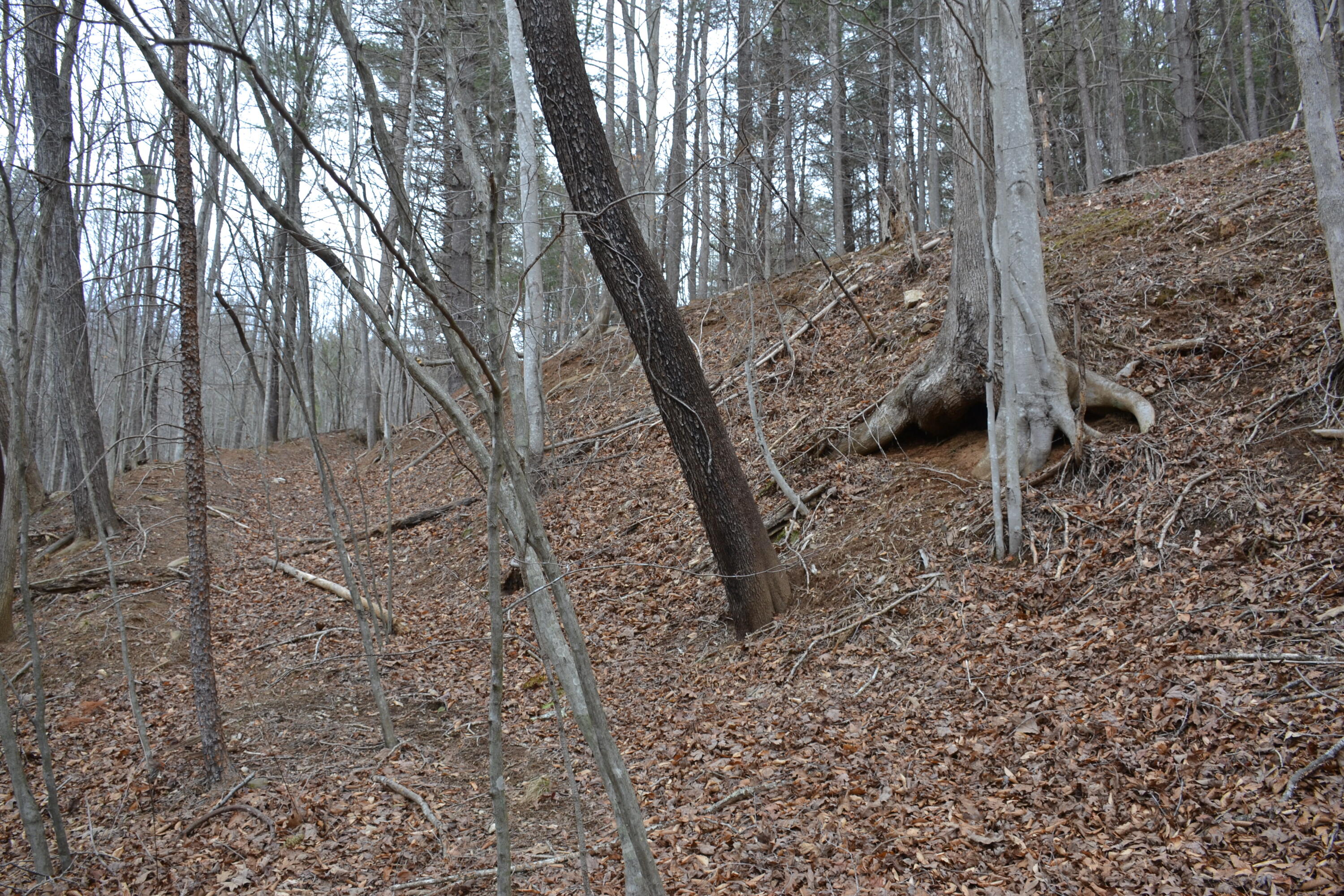 0 Carson Drive Ferrum, VA 24088 - Photo 46 of 60 a view of a yard